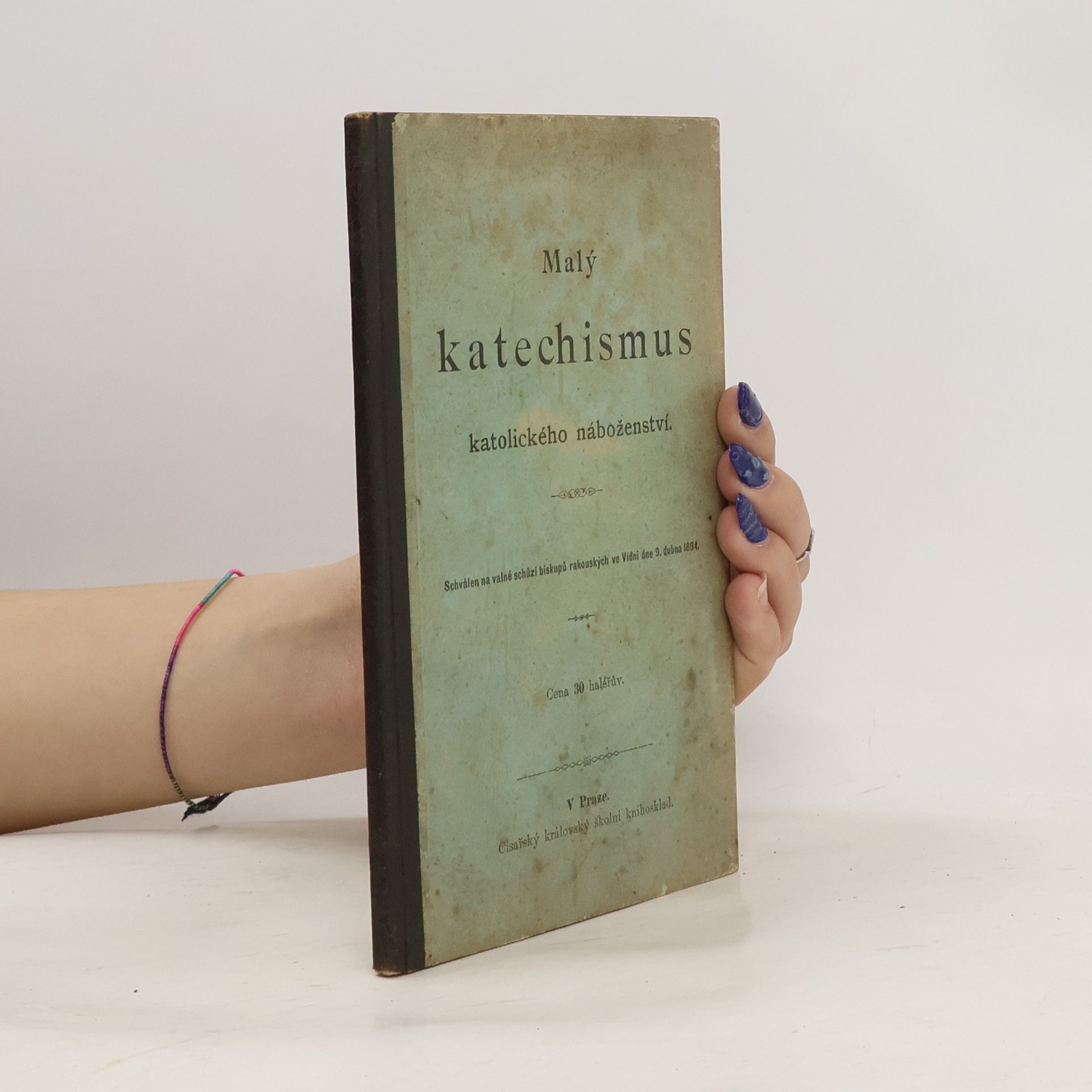 Kolektív autorov Malý katechismus pravé pobožnosti k Panně Marii s návodem ku přípravě na zasvěcení se Panně Marii