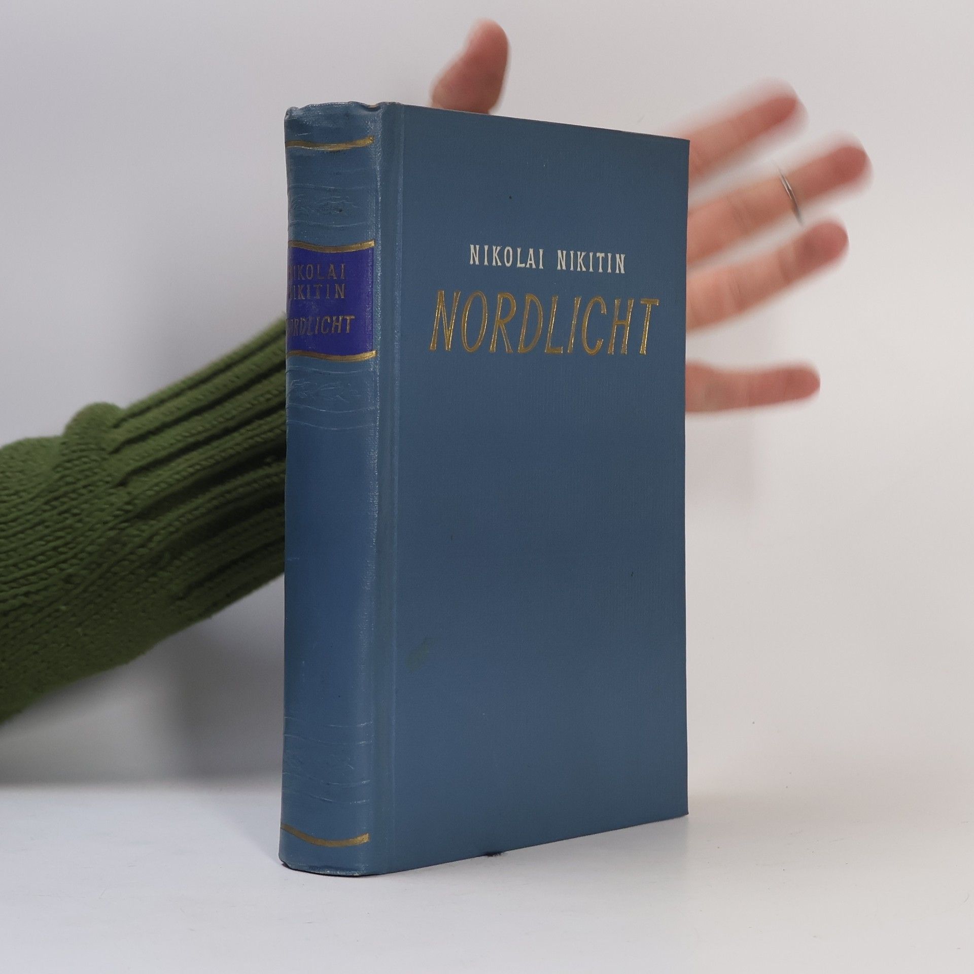 Nikolai Nikitin Nordlicht