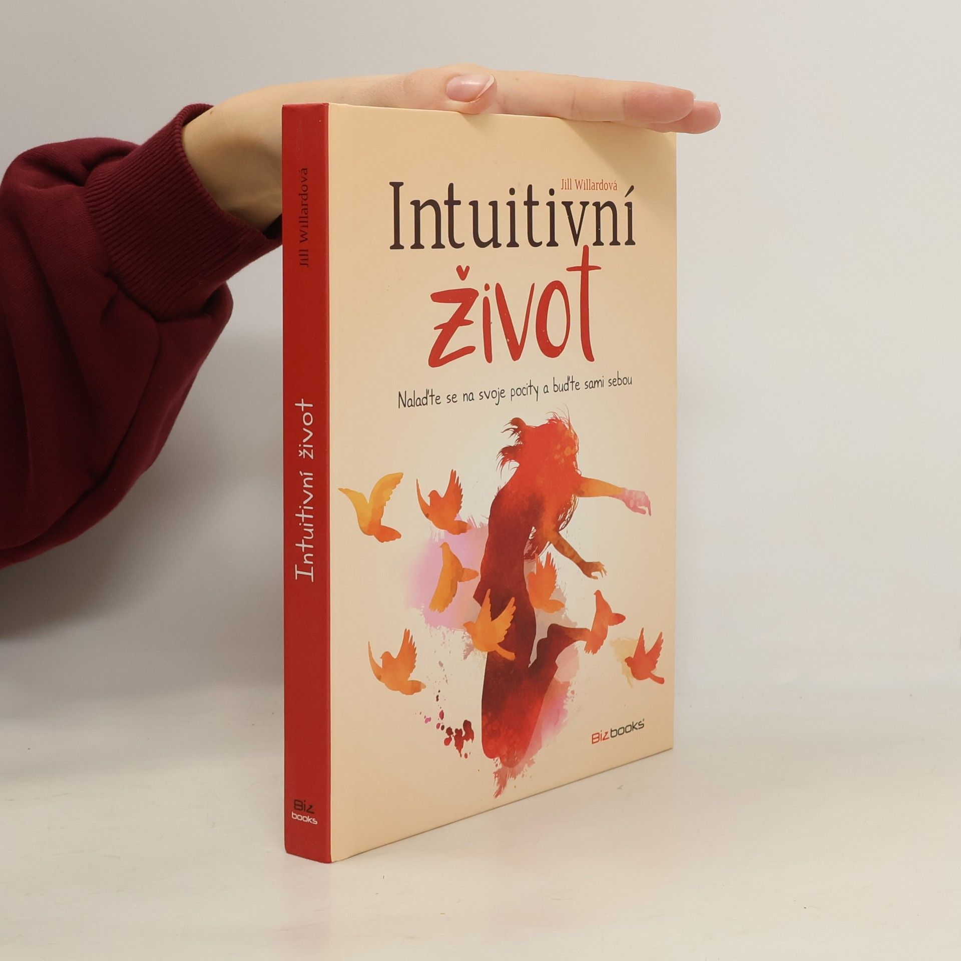 Jill Willard Intuitivní život: Nalaďte se na svou intuici a buďte sami sebou