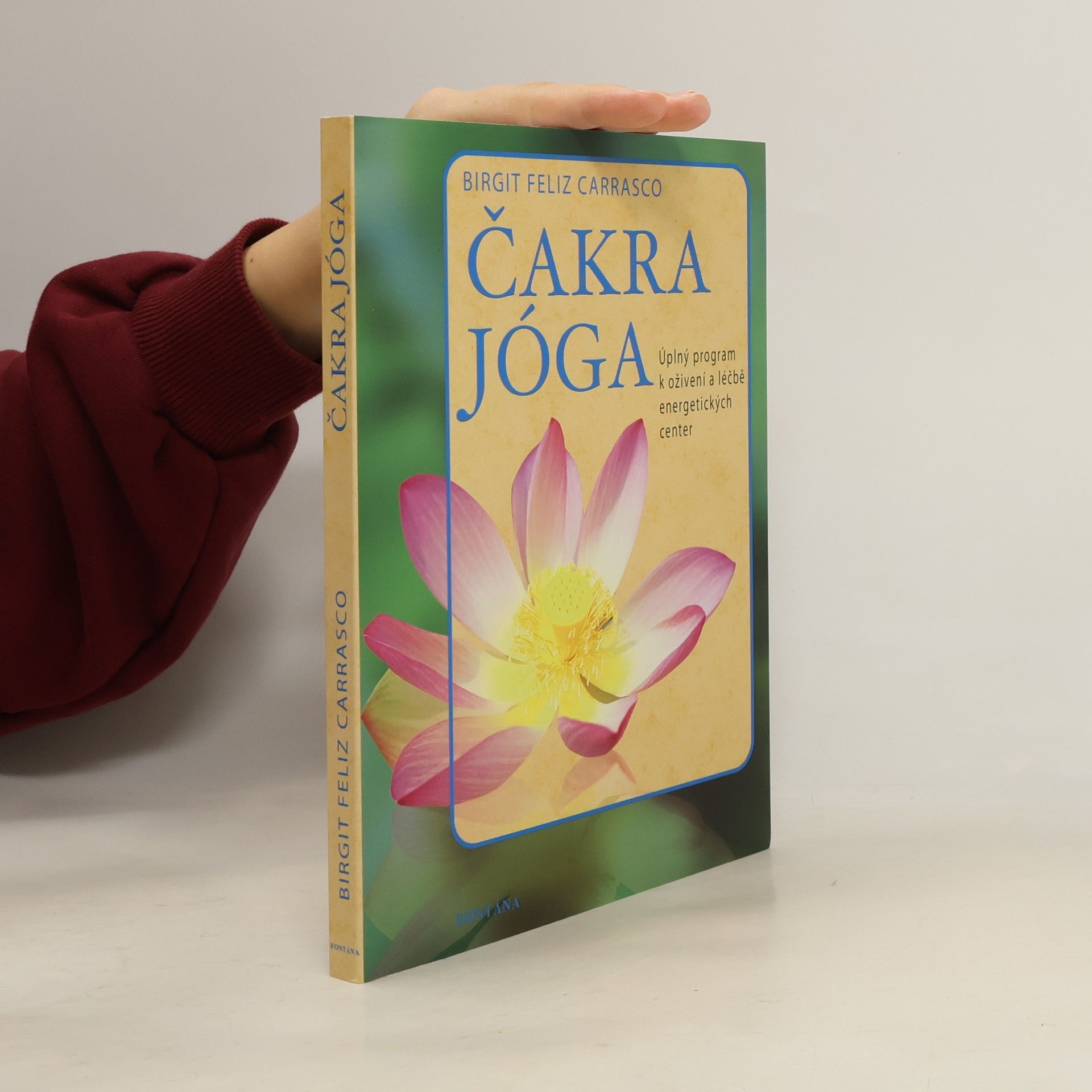 Birgit Feliz Carrasco Čakra jóga. Úplný program k oživení a léčbě energetických center