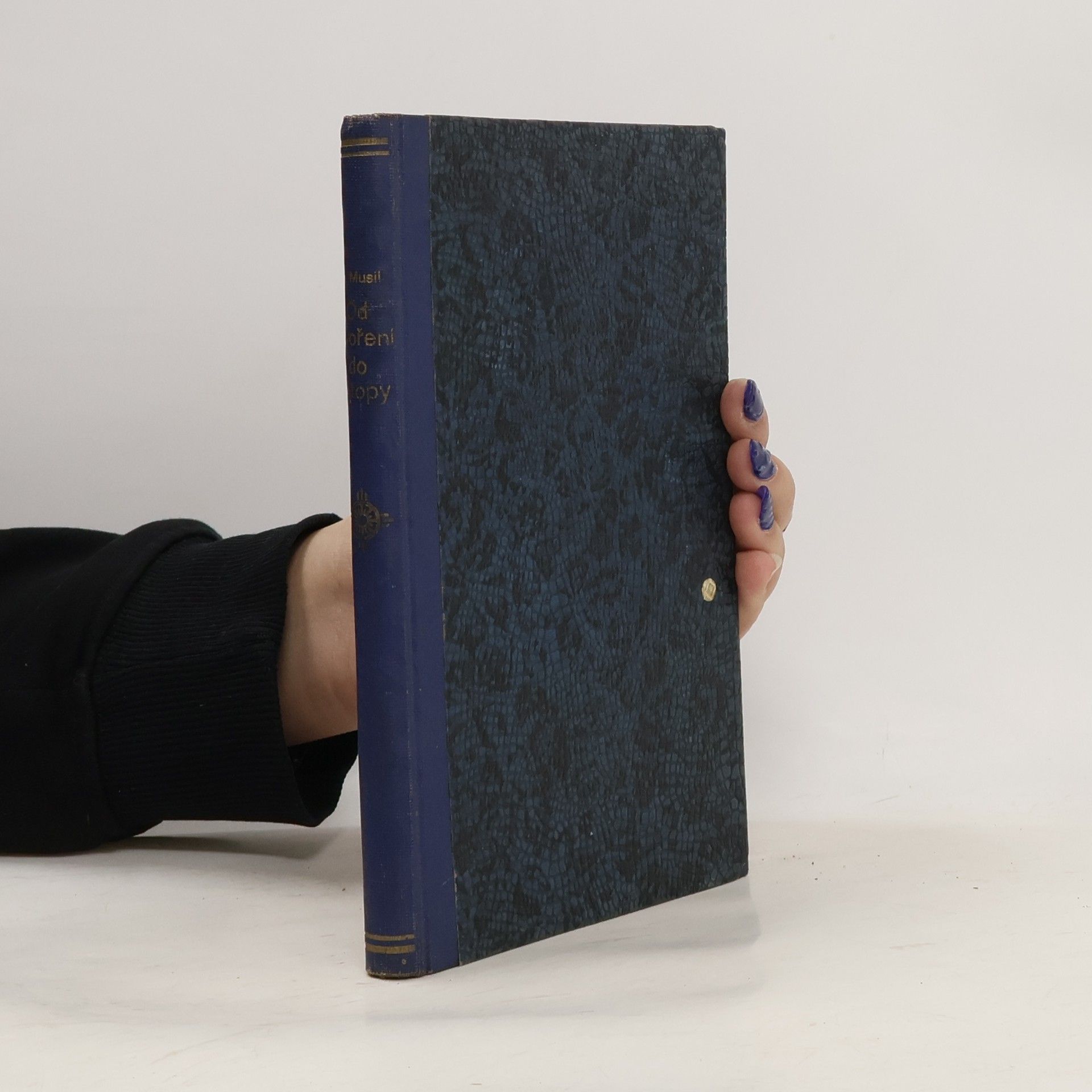 Od stvoření do potopy : biblické universitní extense