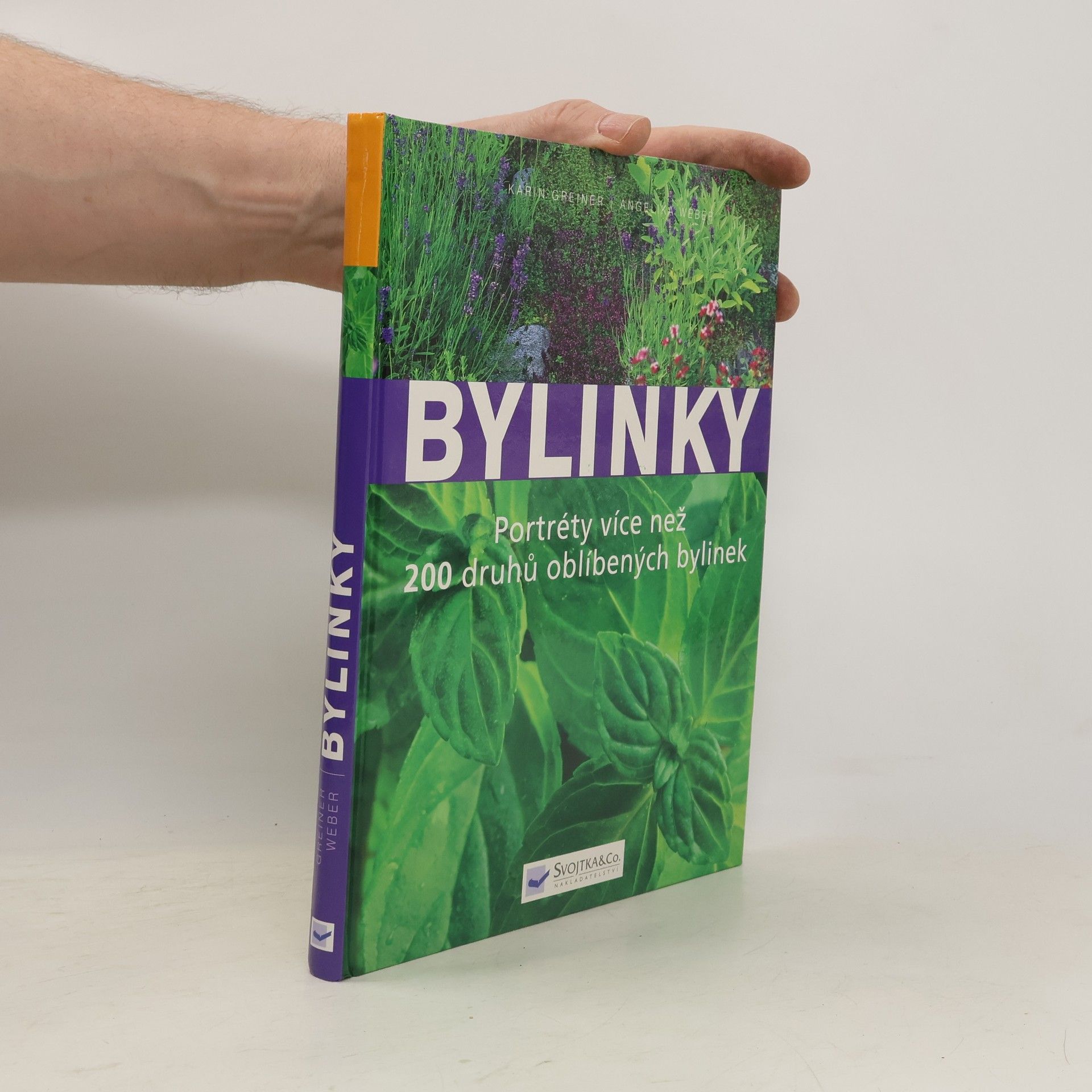 Angelika Weber Bylinky: Nová přehledná kniha s portréty více než 200 druhů oblíbených bylinek