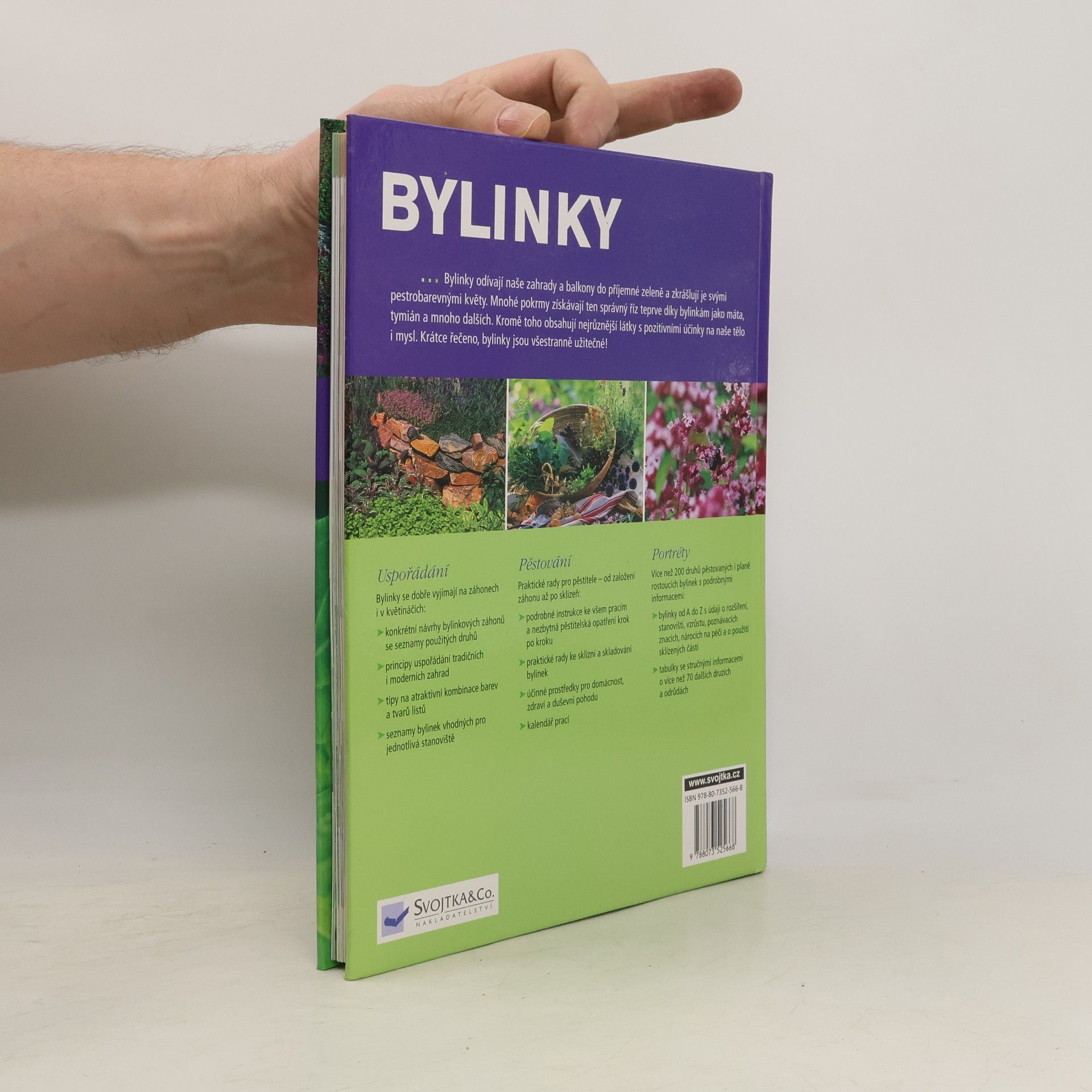 Karin Greiner Bylinky: Nová přehledná kniha s portréty více než 200 druhů oblíbených bylinek