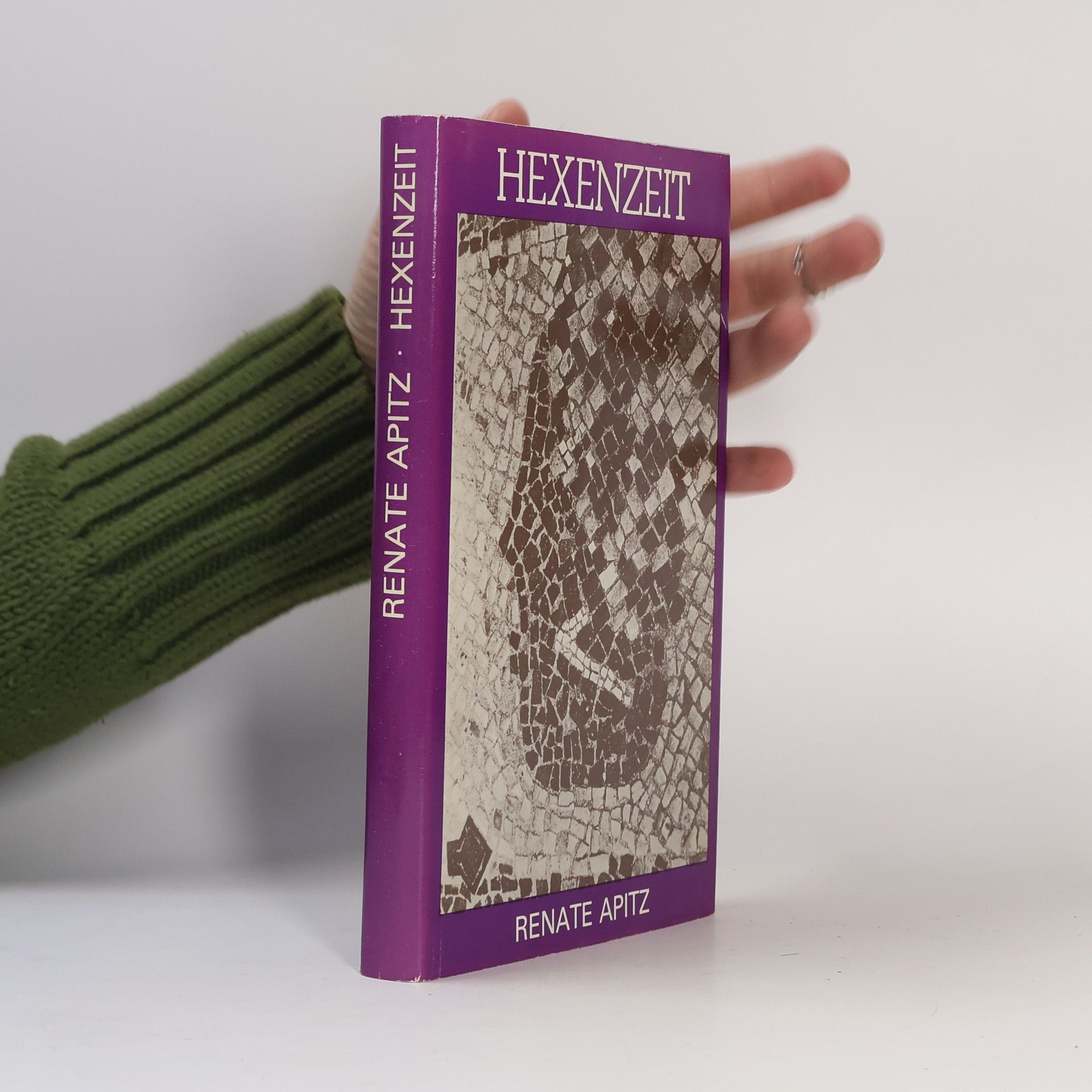 Renate Apitz Hexenzeit