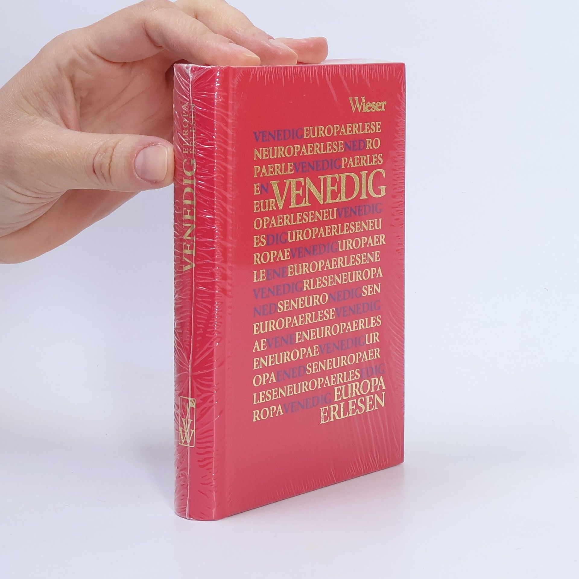 Susanne Gretter Venedig