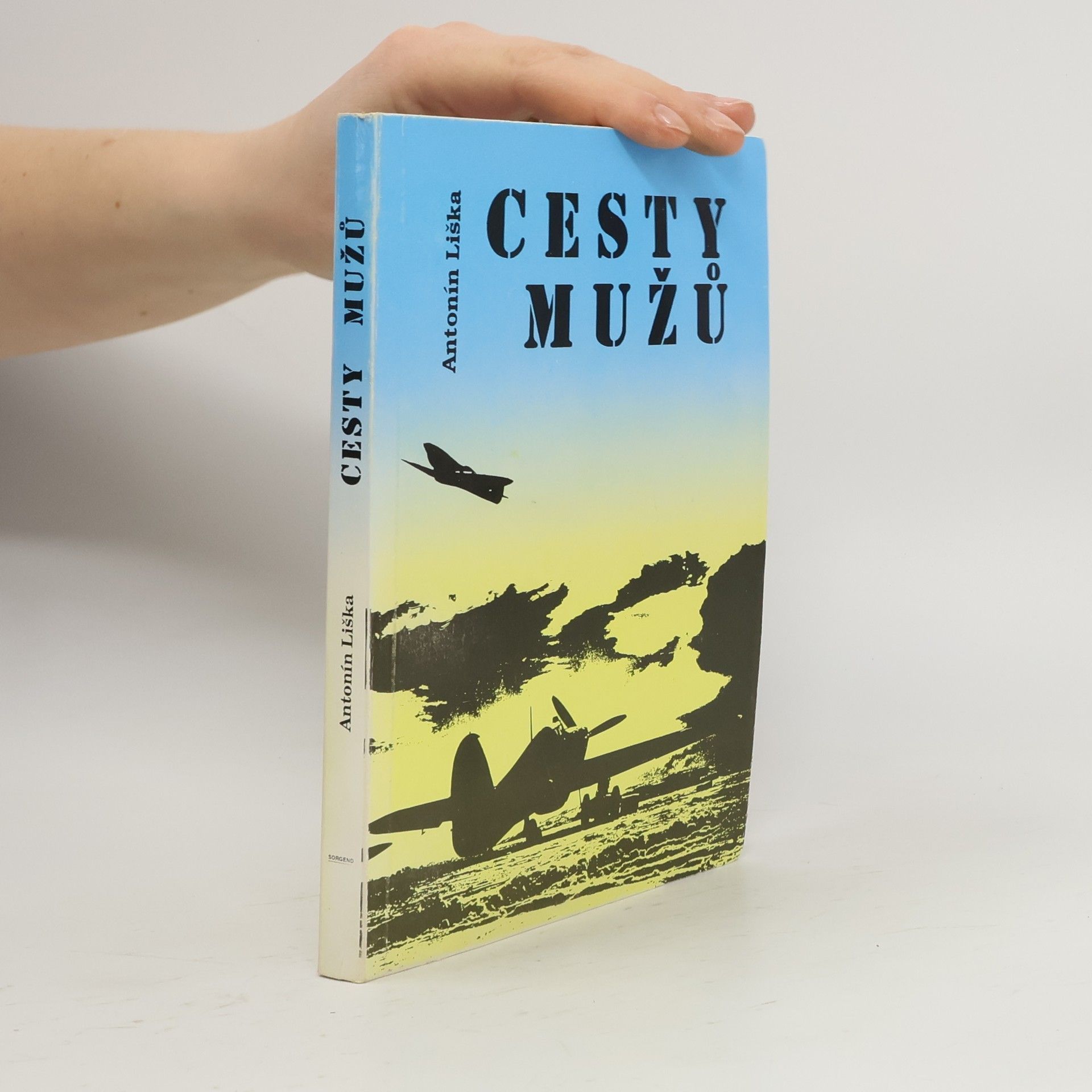 Antonín Liška Cesty mužů