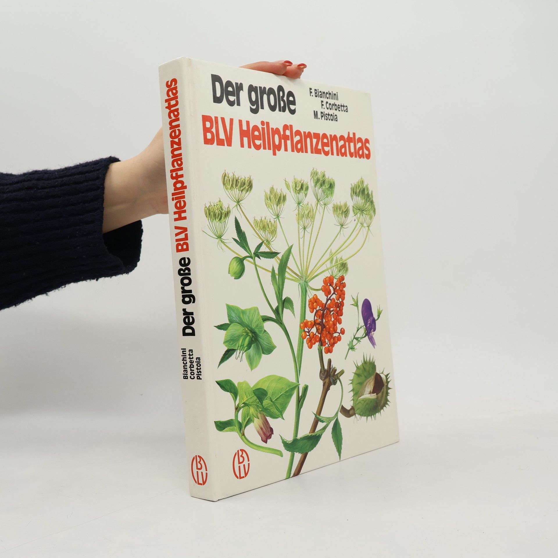 Francesco Bianchini Der grosse BLV-Heilpflanzenatlas