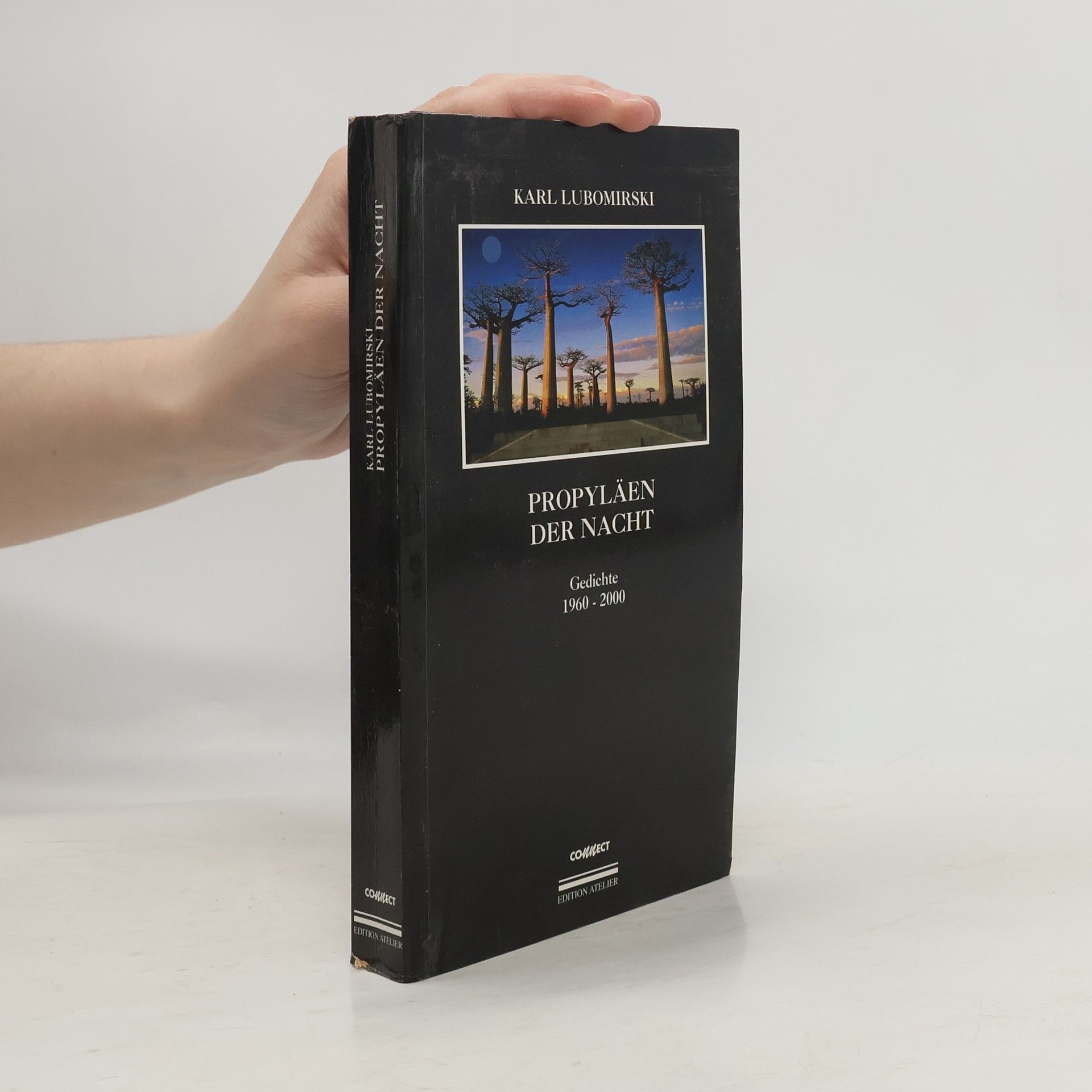 Propyläen der Nacht