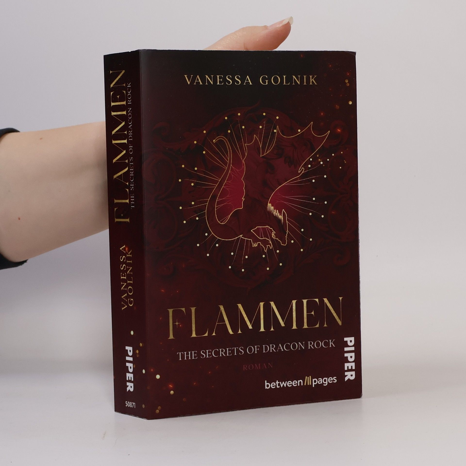 Vanessa Golnik Flammen – The Secrets of Dracon Rock