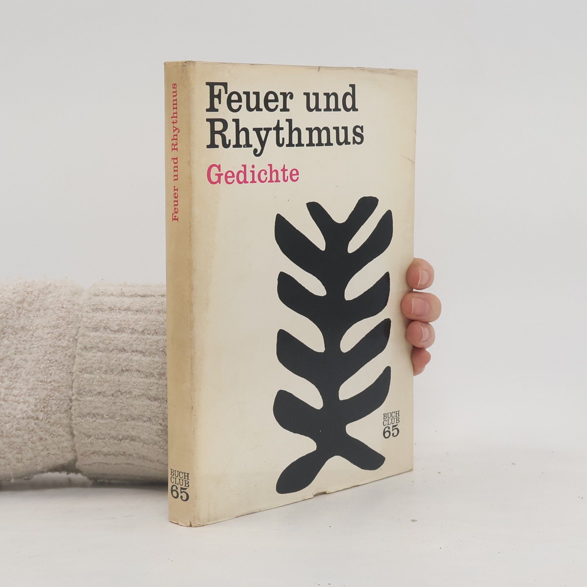 Kolektiv autorů Feuer und Rhythmus