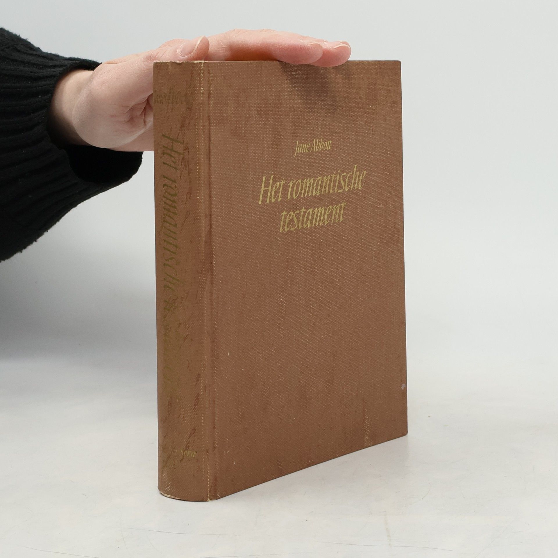 Jane Abbott Het romantische Testament