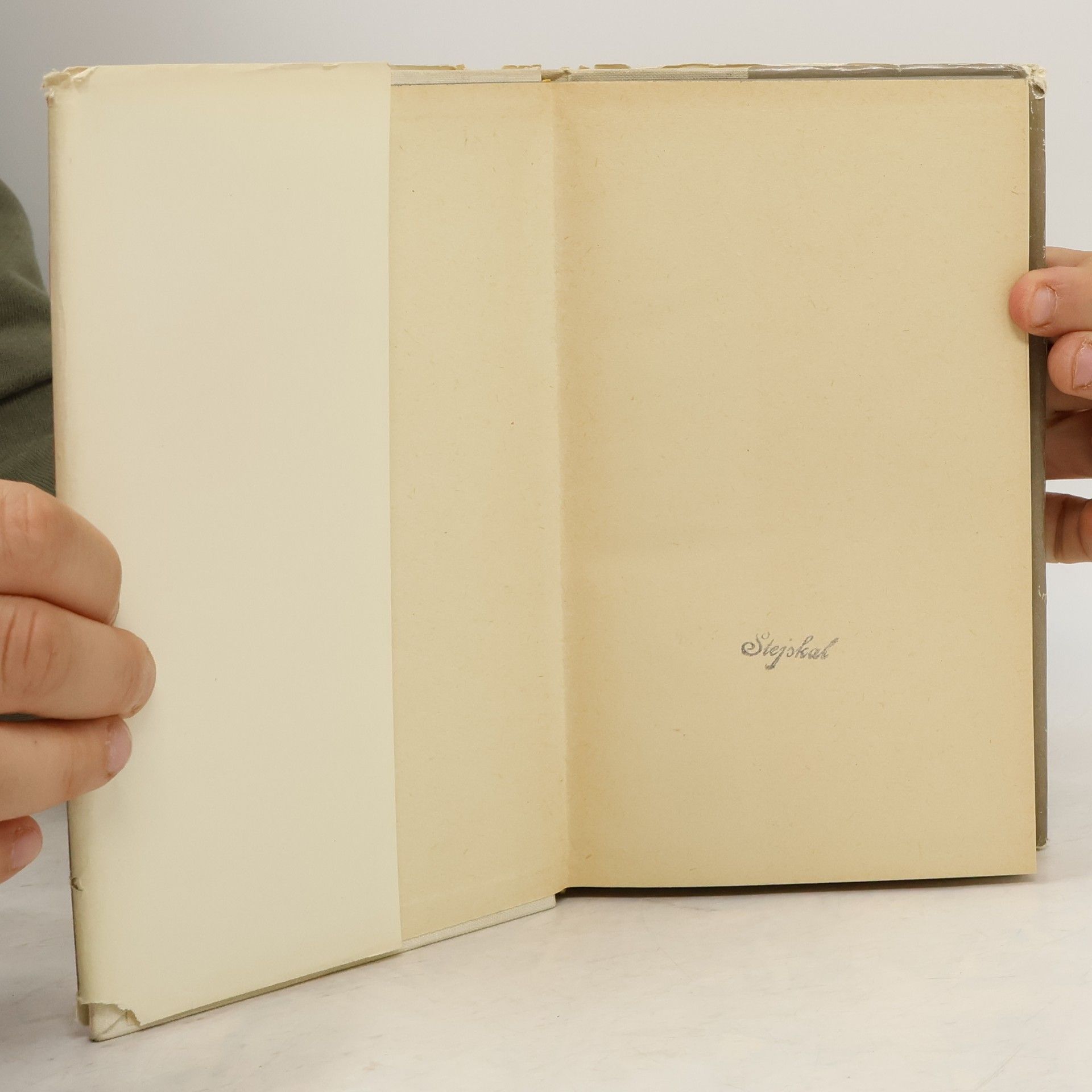Erich Maria Remarque Traja kamaráti