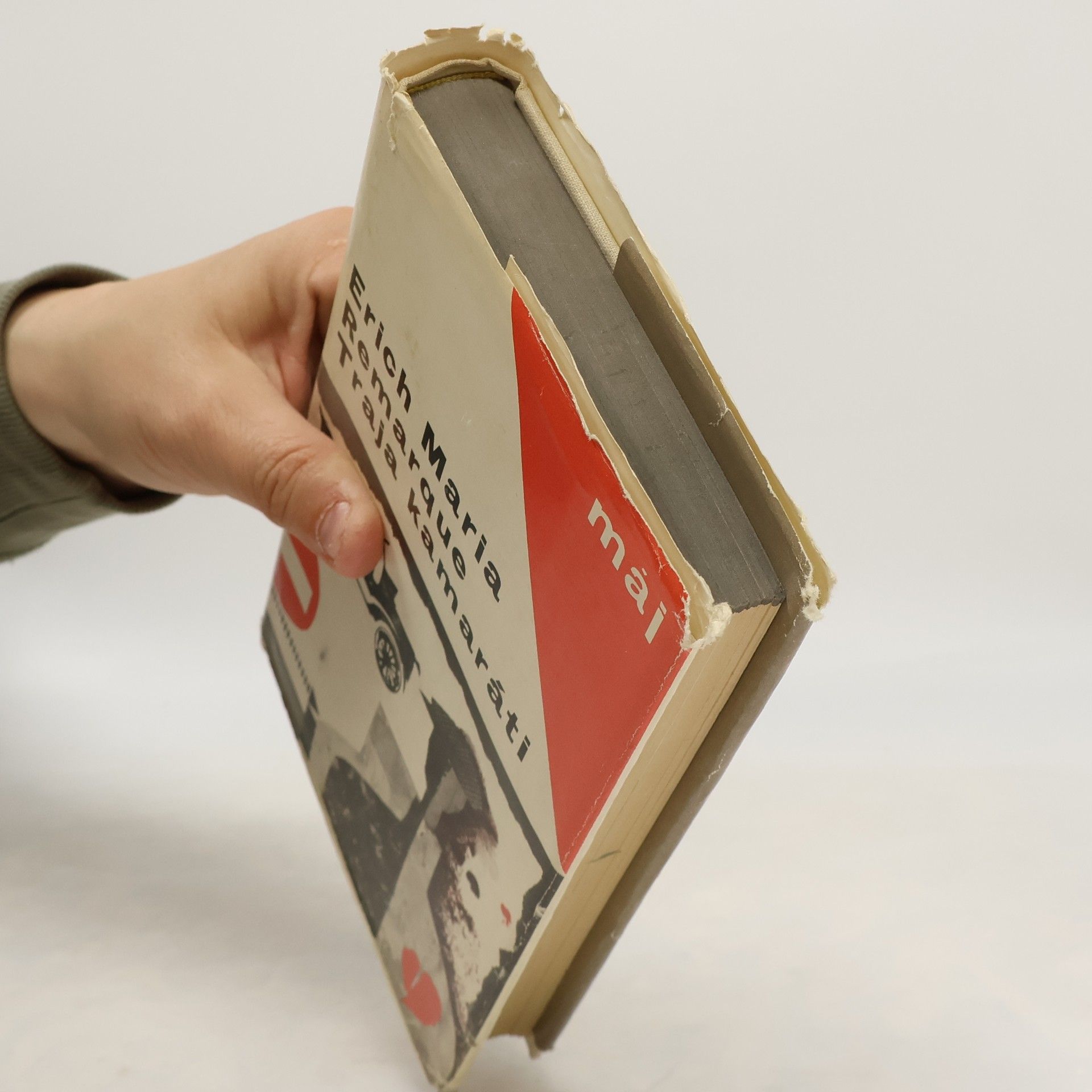 Erich Maria Remarque Traja kamaráti