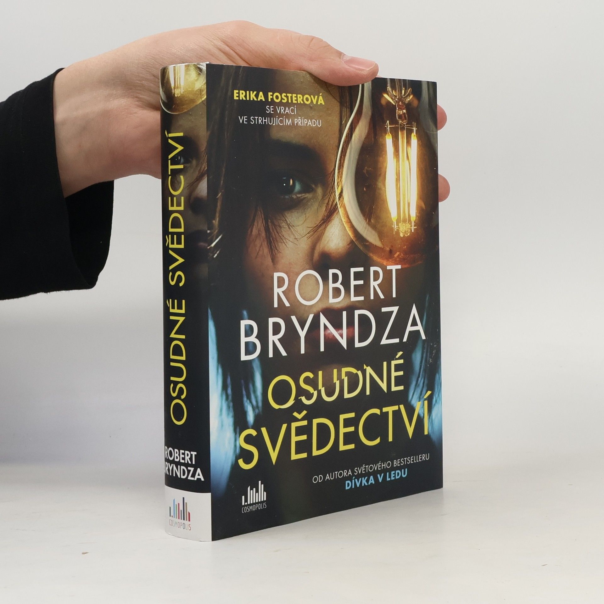 Robert Bryndza Osudné svědectví