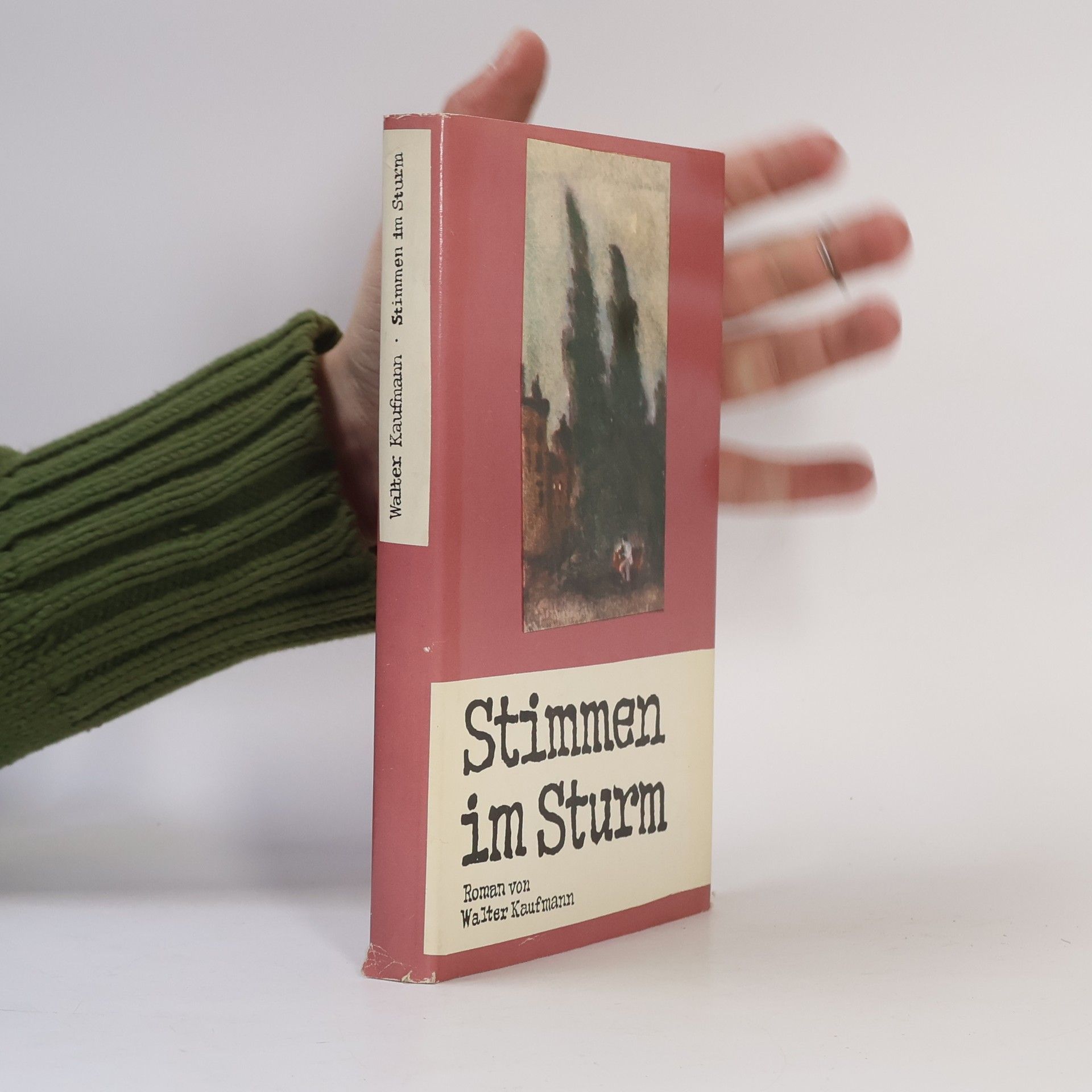 Walter Kaufmann Stimmen im Sturm