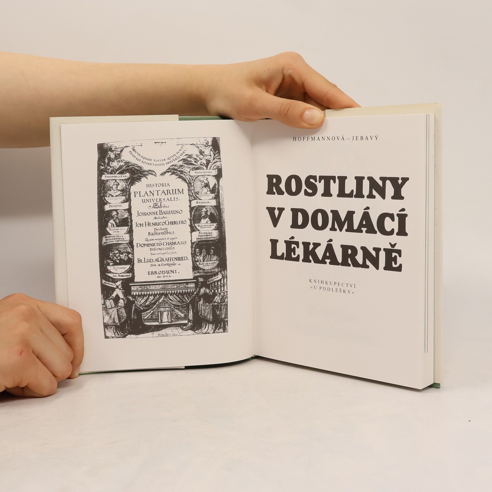 František S. Jebavý Rostliny v domácí lékárně