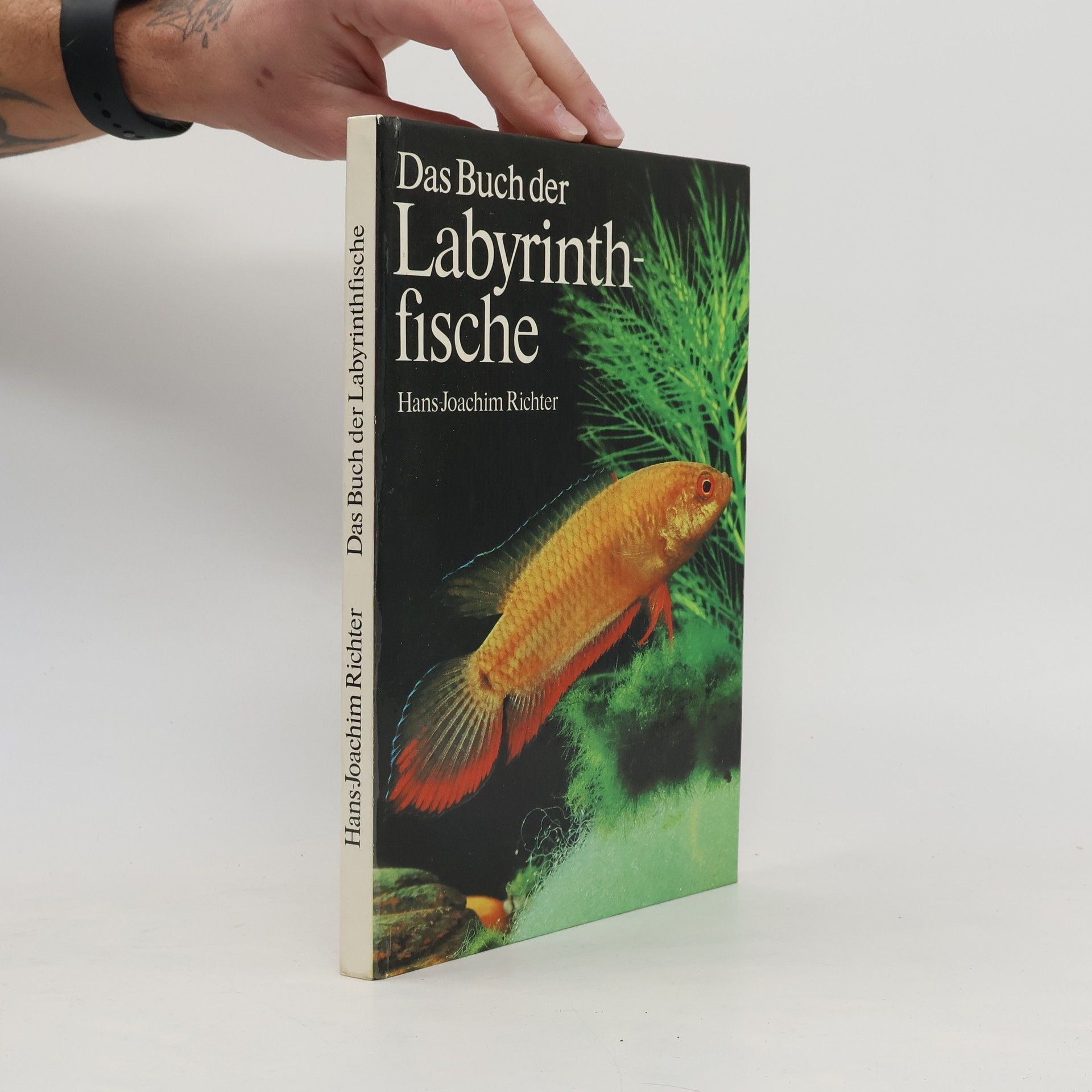 Hans Joachim Richter Das Buch der Labyrinthfische