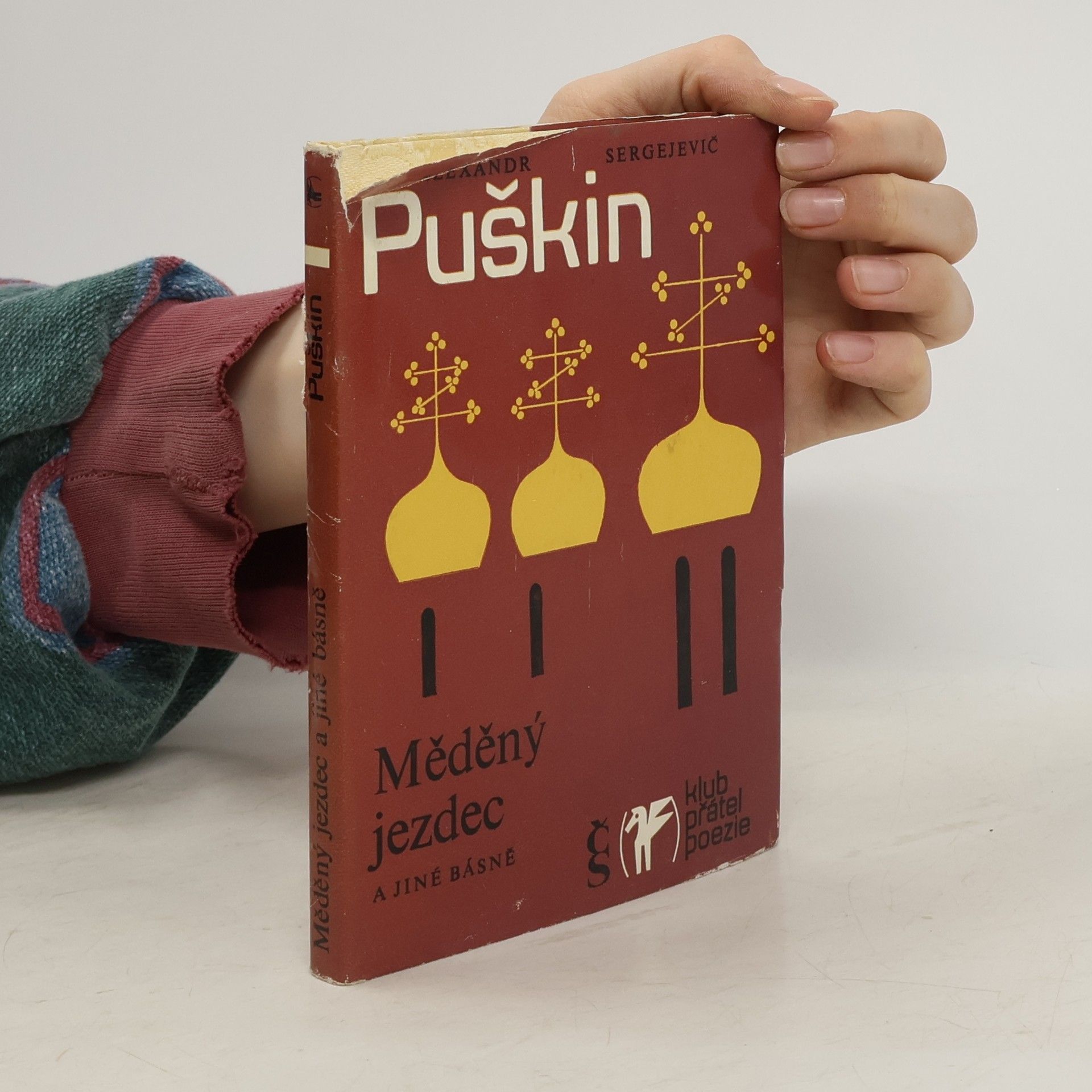 Aleksandr Sergejevič Puškin Měděný jezdec a jiné básně