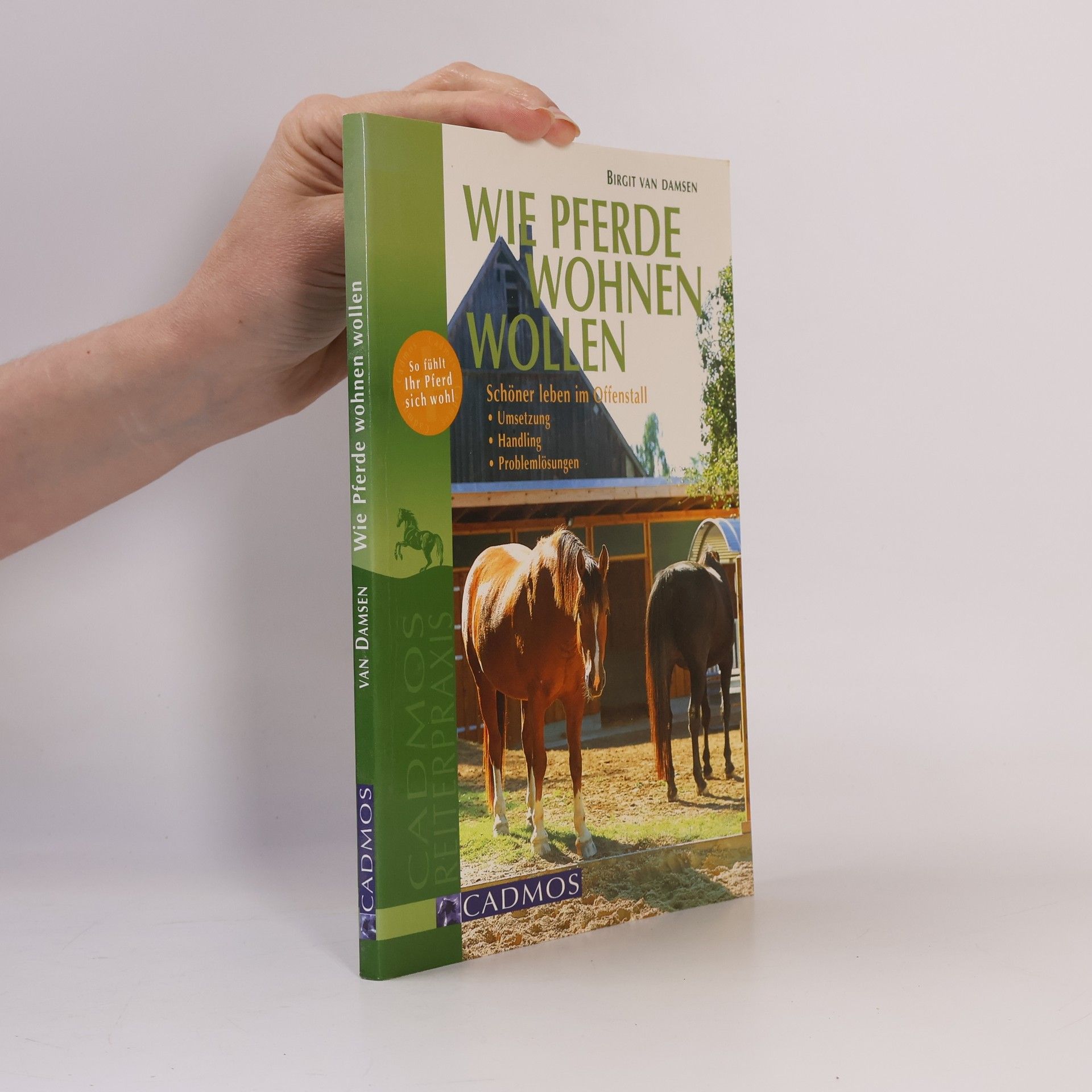 Birgit van Damsen Wie Pferde wohnen wollen