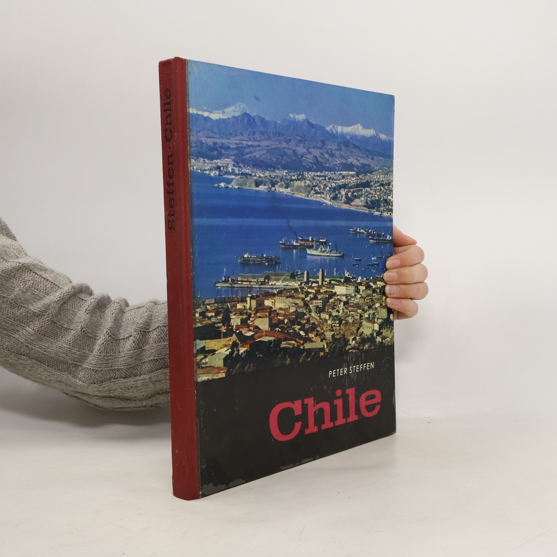 Steffen-Peter Müller Chile