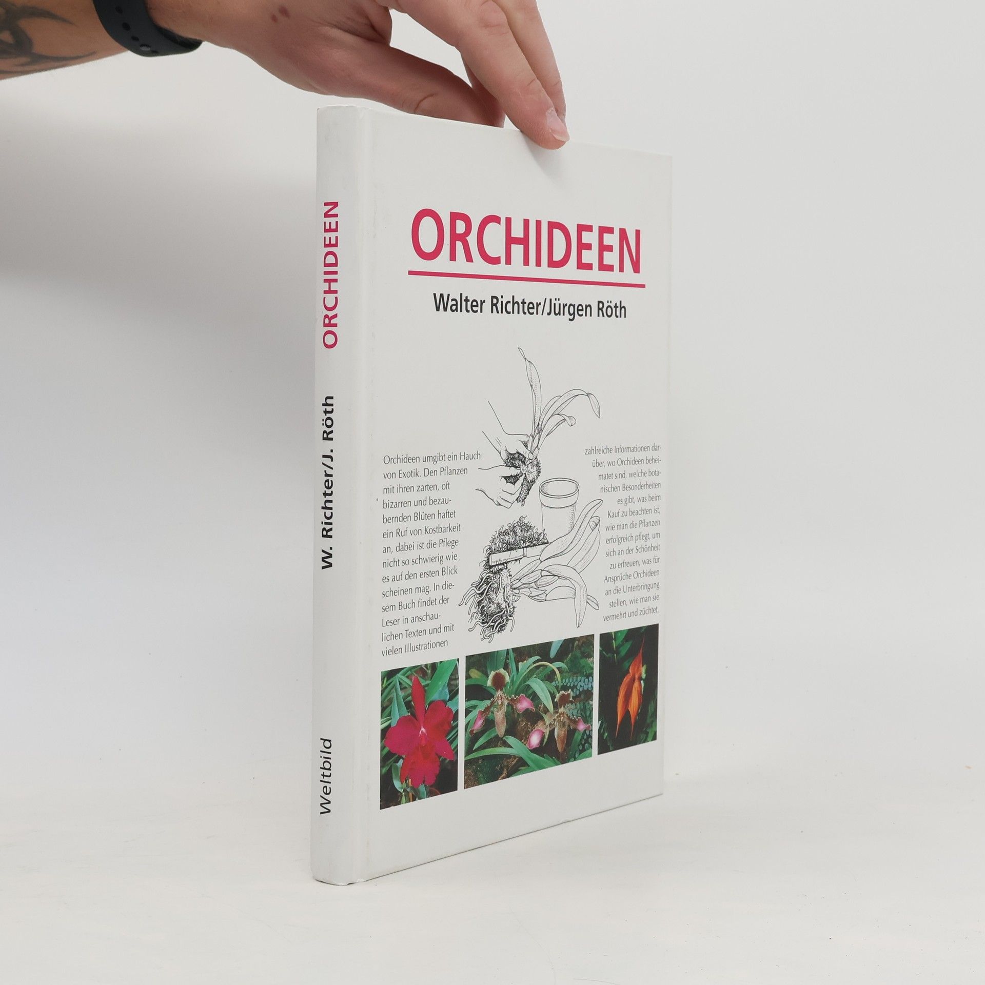 Walter Richter Orchideen