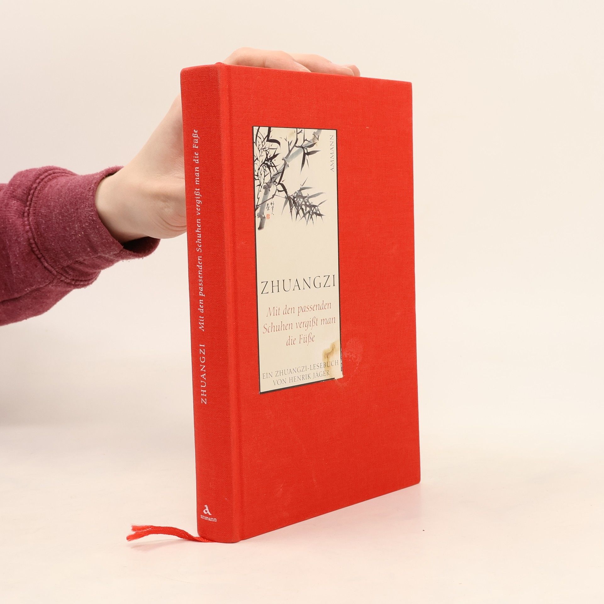 Henrik Jäger Mit den passenden Schuhen vergißt man die Füße. Ein Zhuangzi-Lesebuch