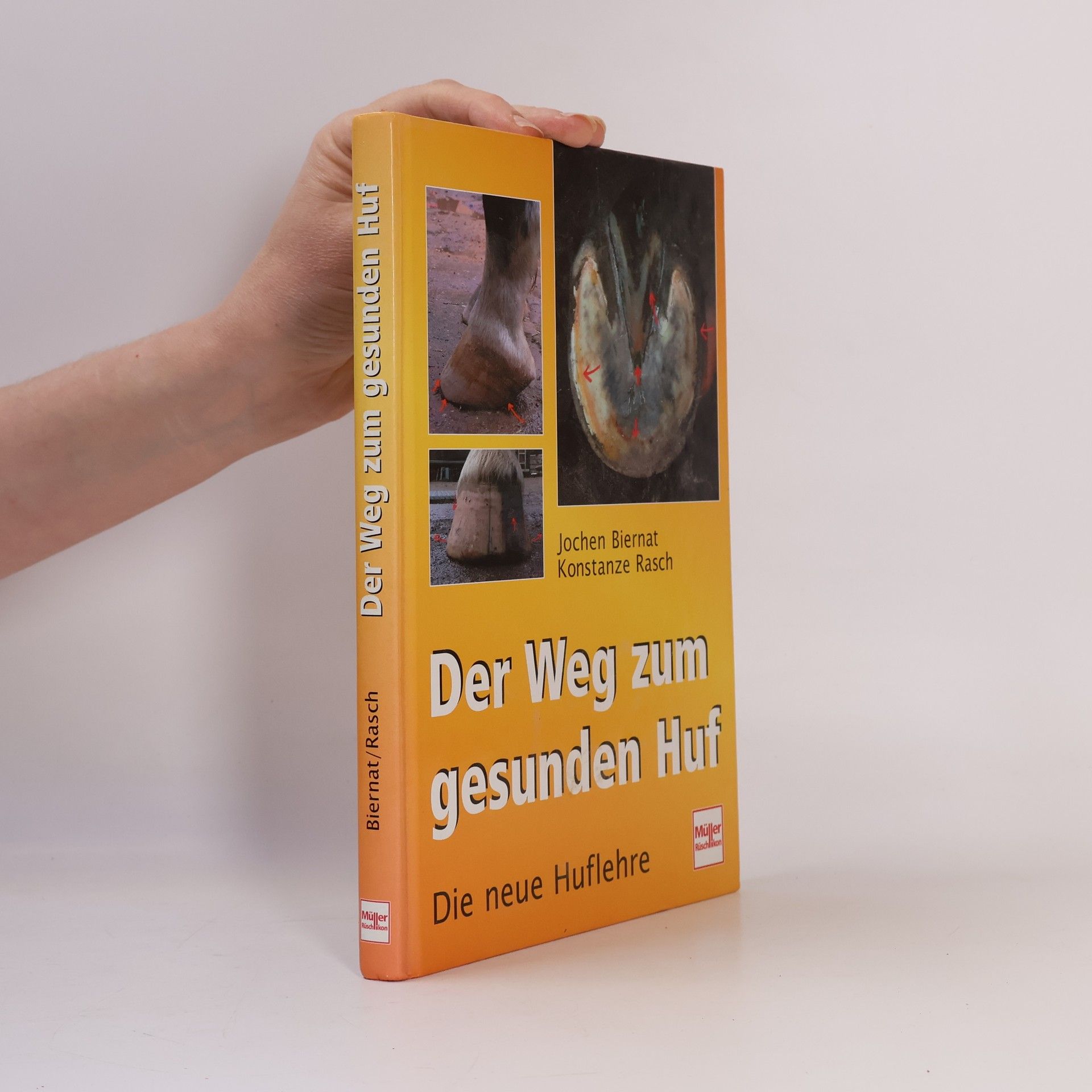 Jochen Biernat Der Weg zum gesunden Huf