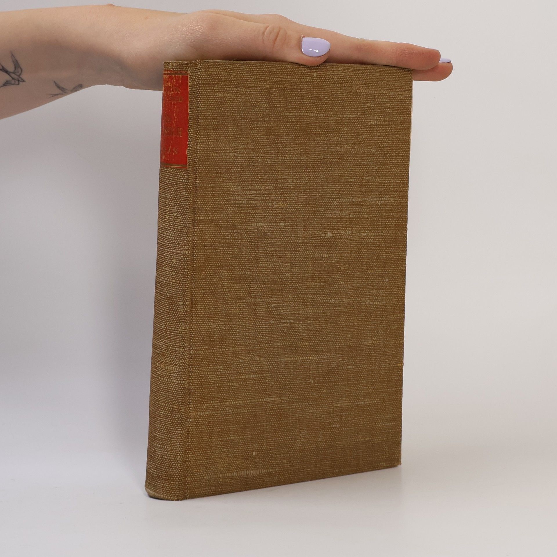 Kasimir Edschmid Das Südreich