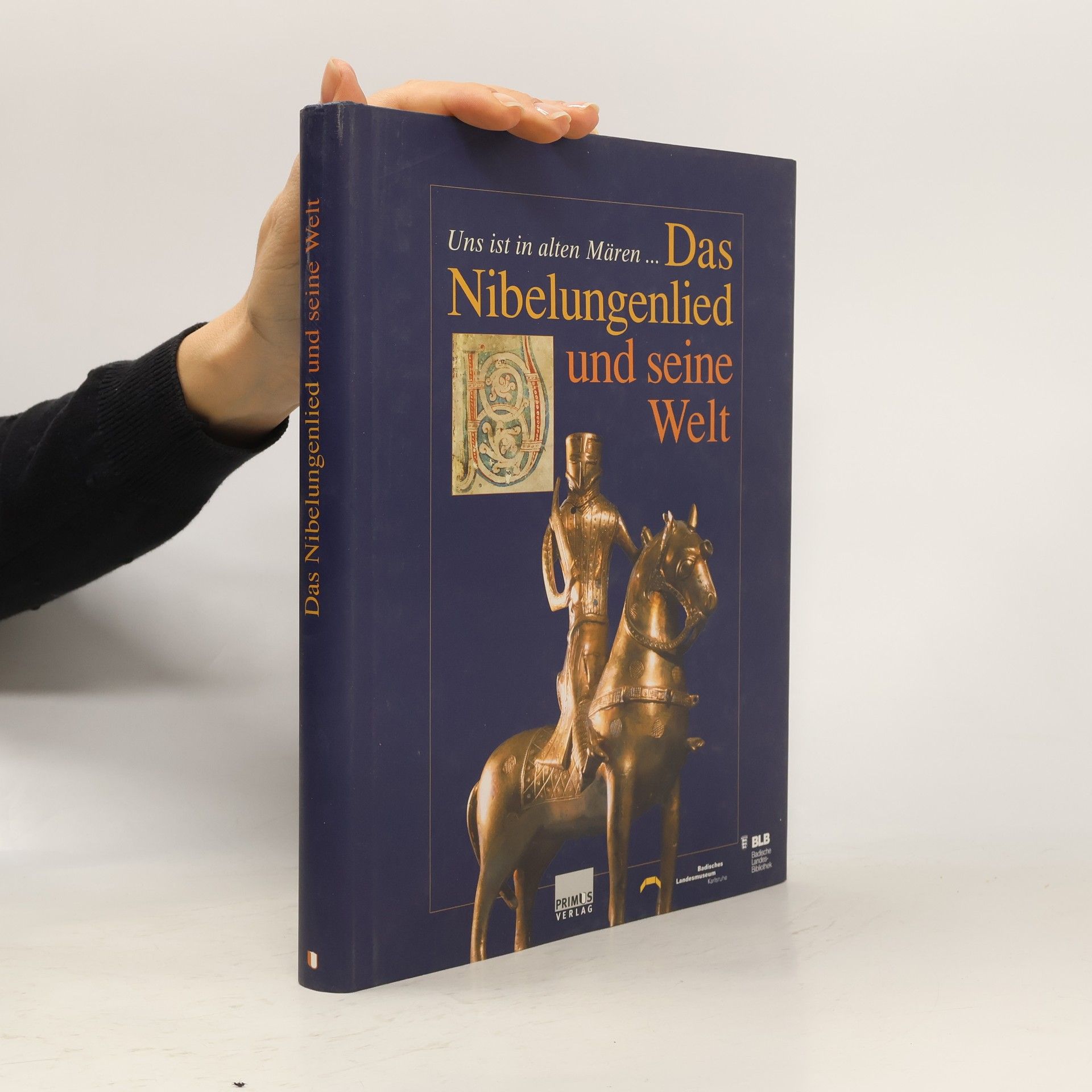 Jürgen Krüger Das Nibelungenlied und seine Welt