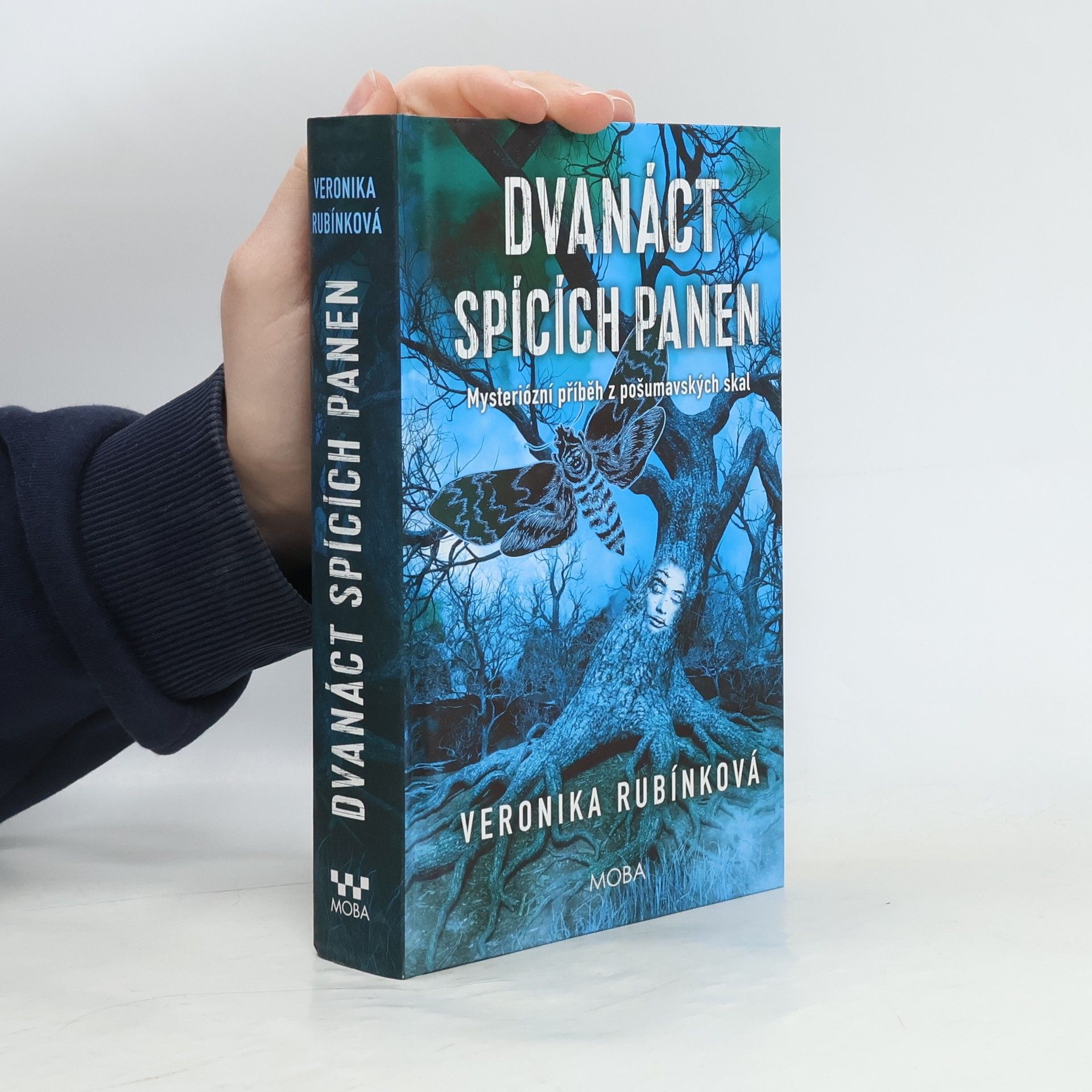 Veronika Rubínková Dvanáct spících panen