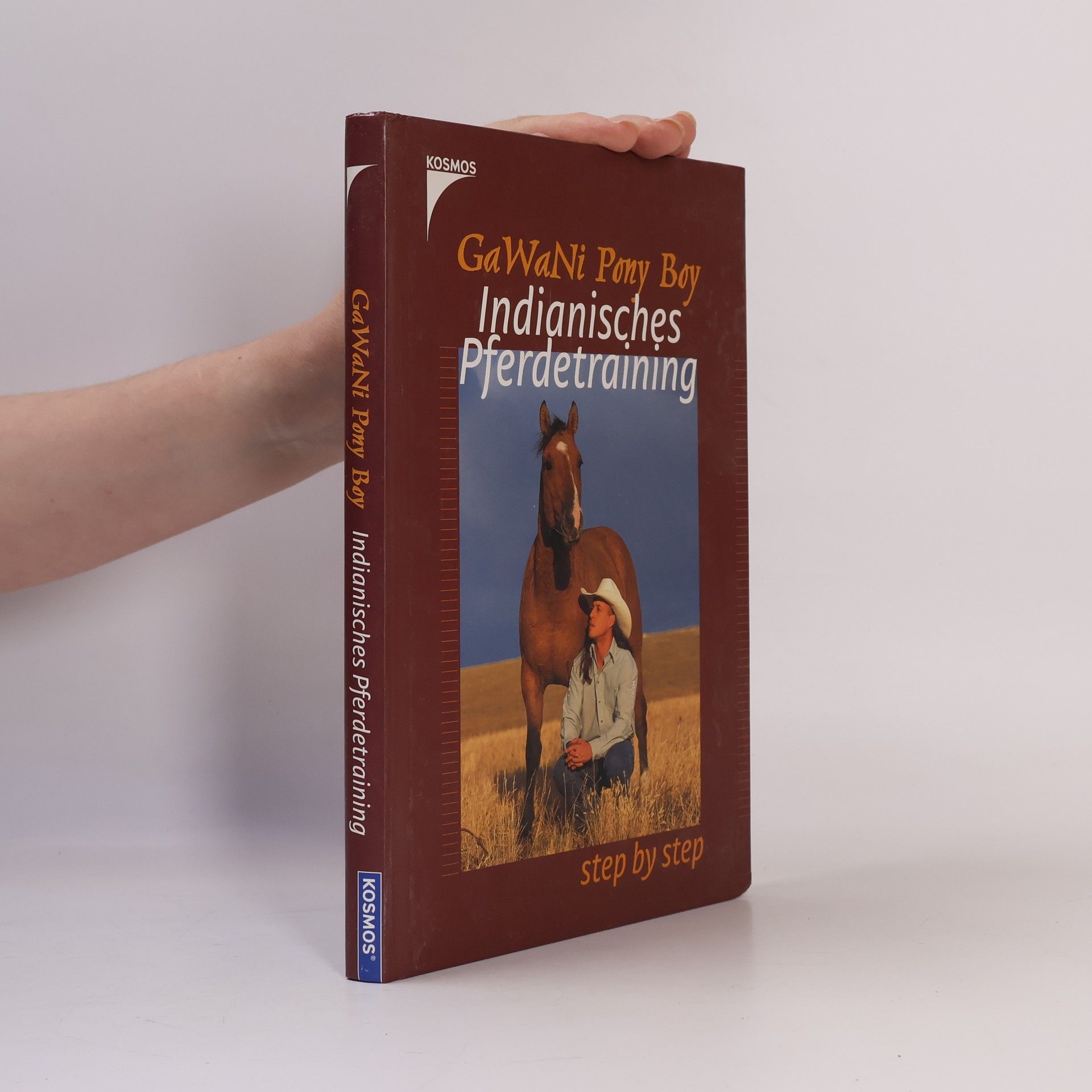 GaWaNi Pony Boy Indianisches Pferdetraining