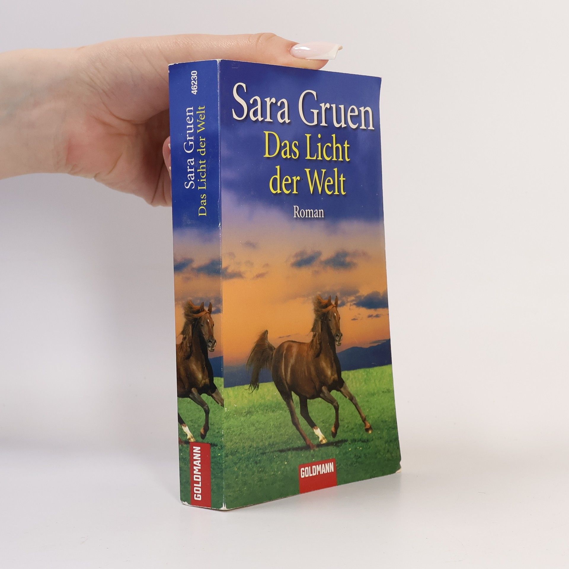 Sara Gruen Das Licht der Welt