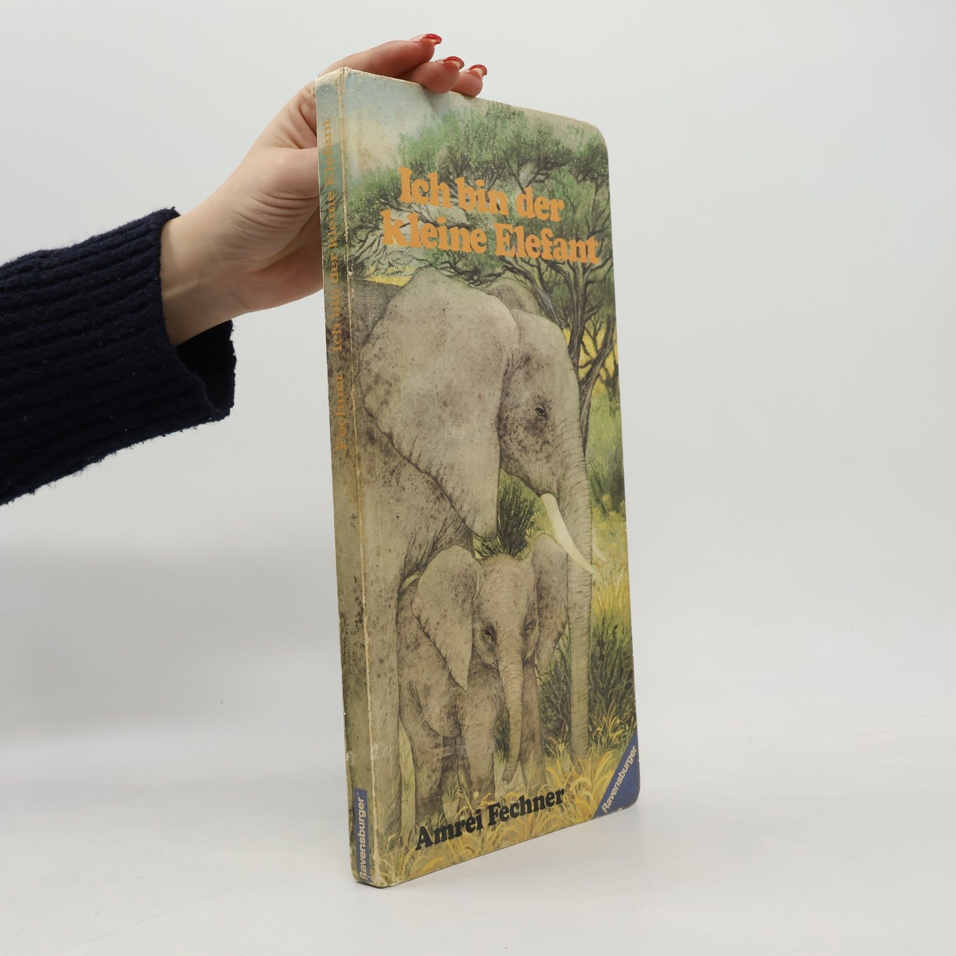 Amrei Fechner Ich bin der kleine Elefant