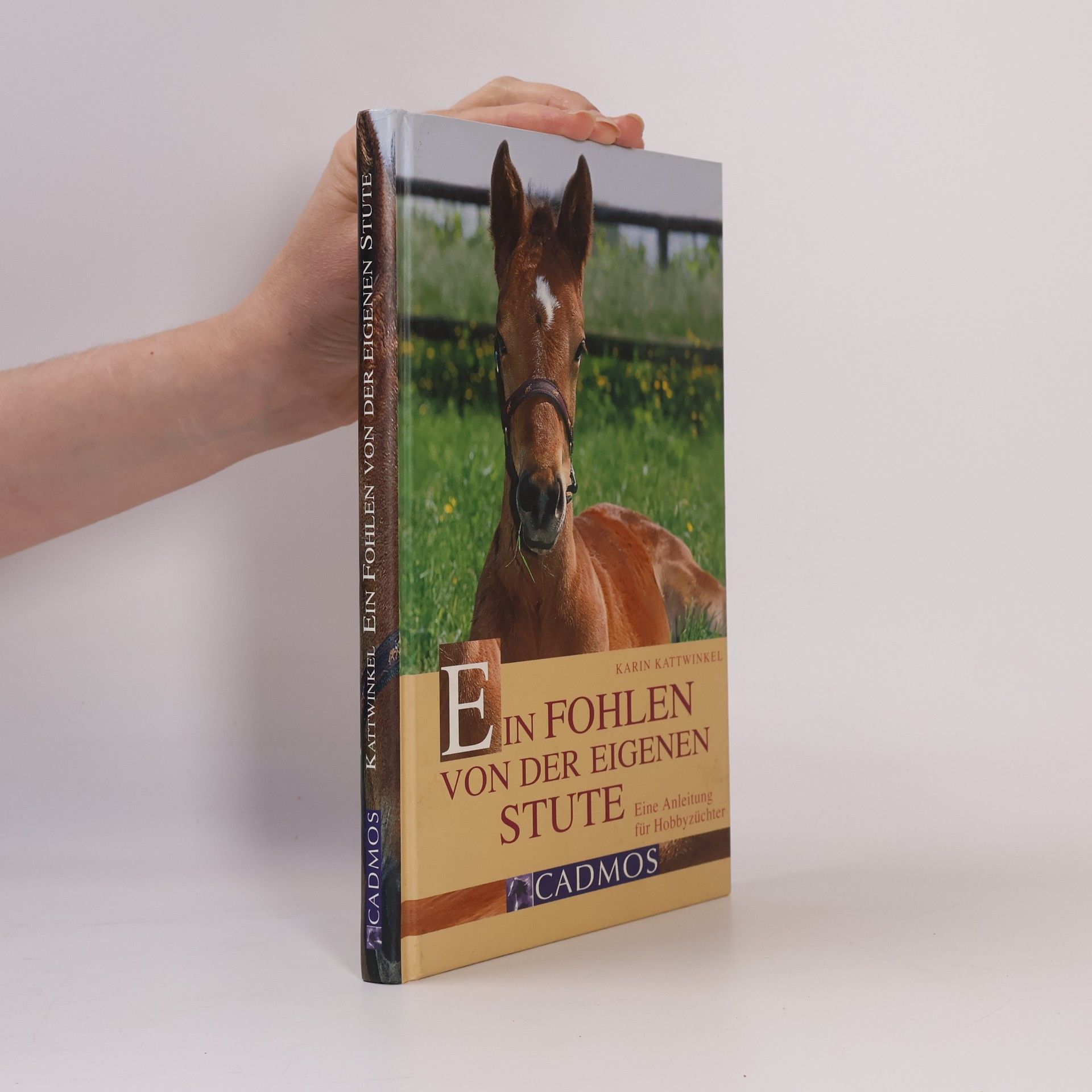 Karin Kattwinkel Ein Fohlen von der eigenen Stute