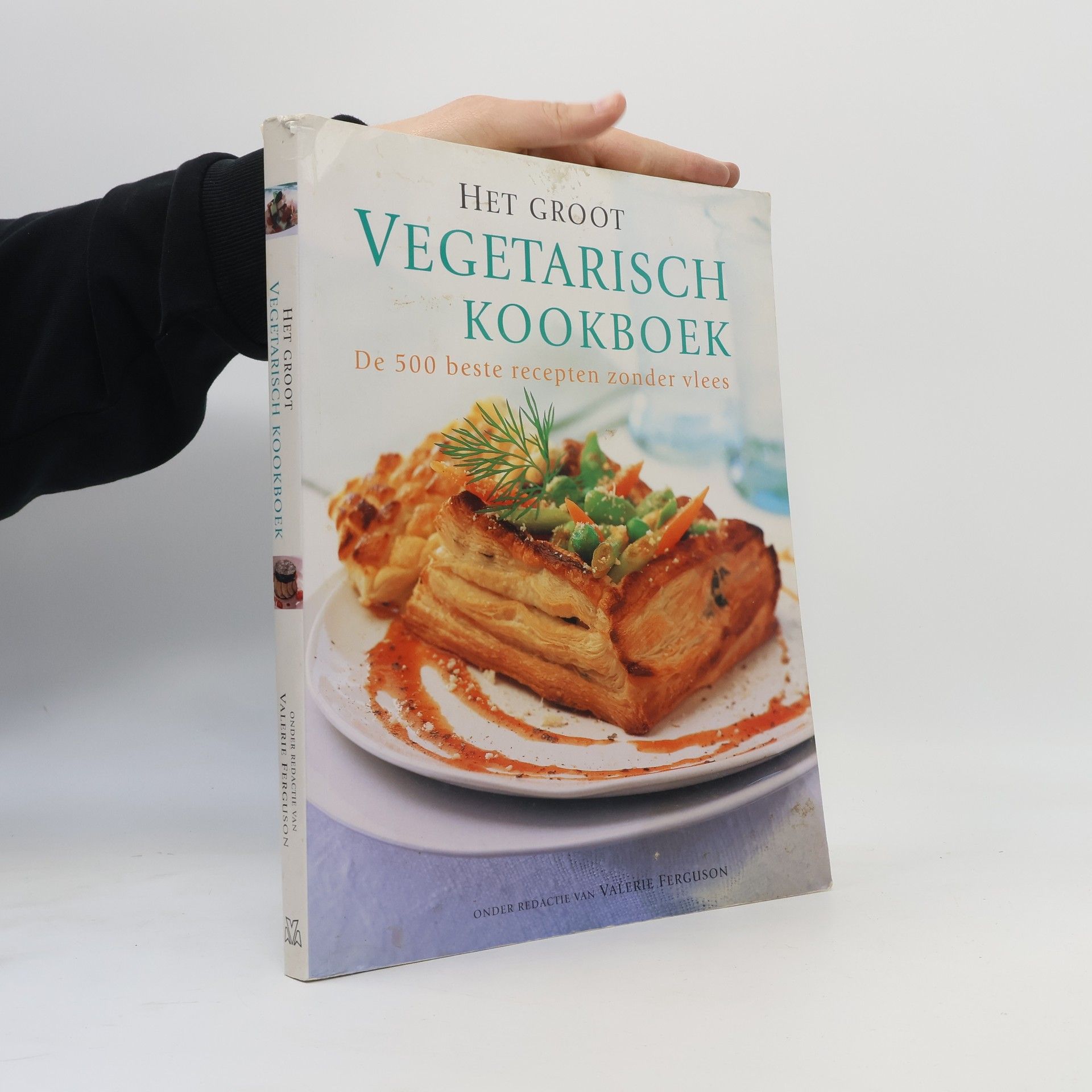 Het groot vegetarisch kookboek