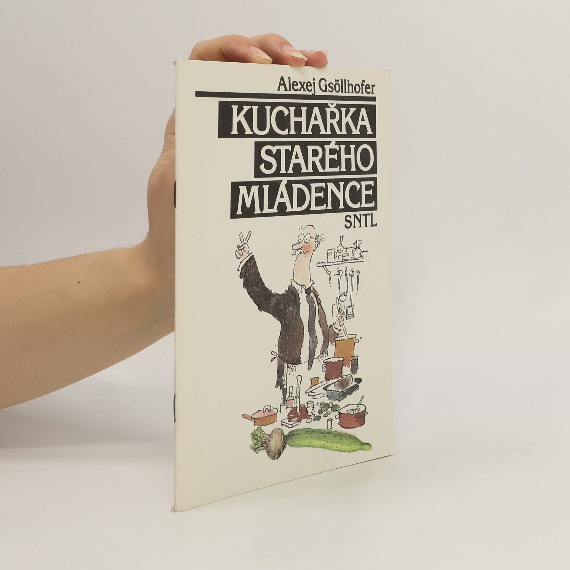 Vladimír Renčín Kuchařka starého mládence
