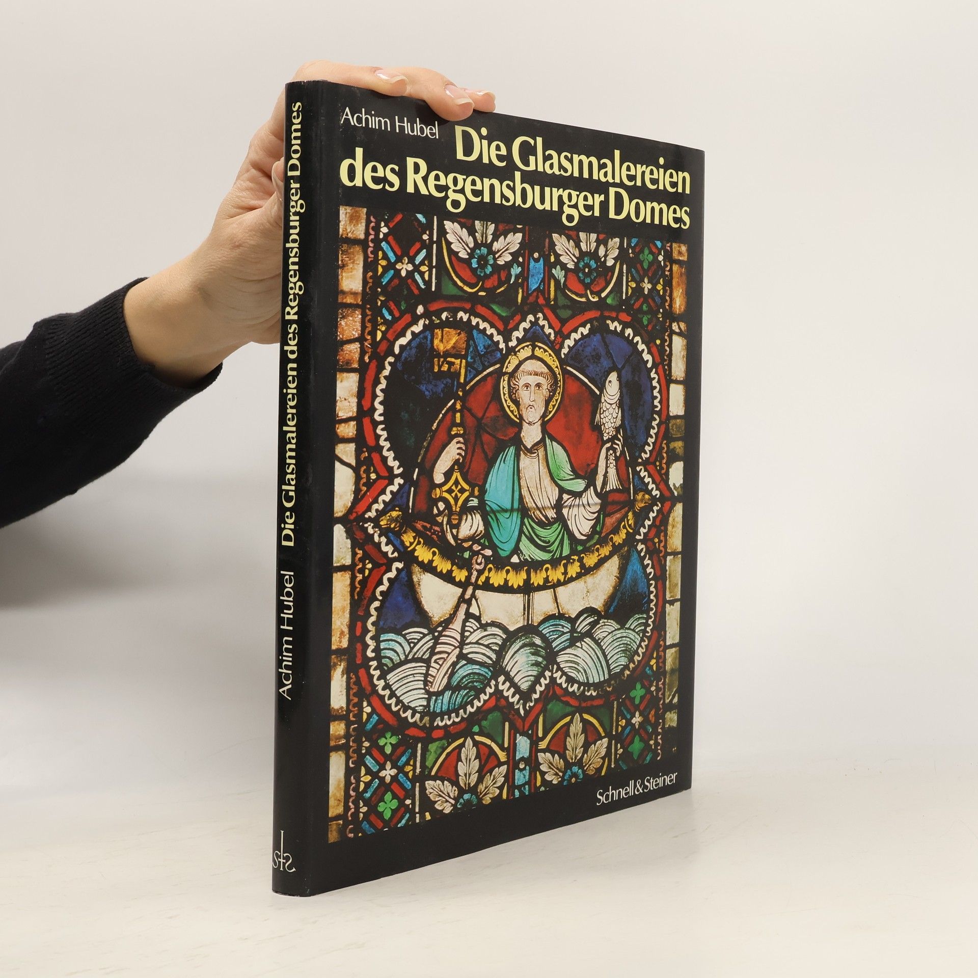 Achim Hubel Die Glasmalereien des Regensburger Domes