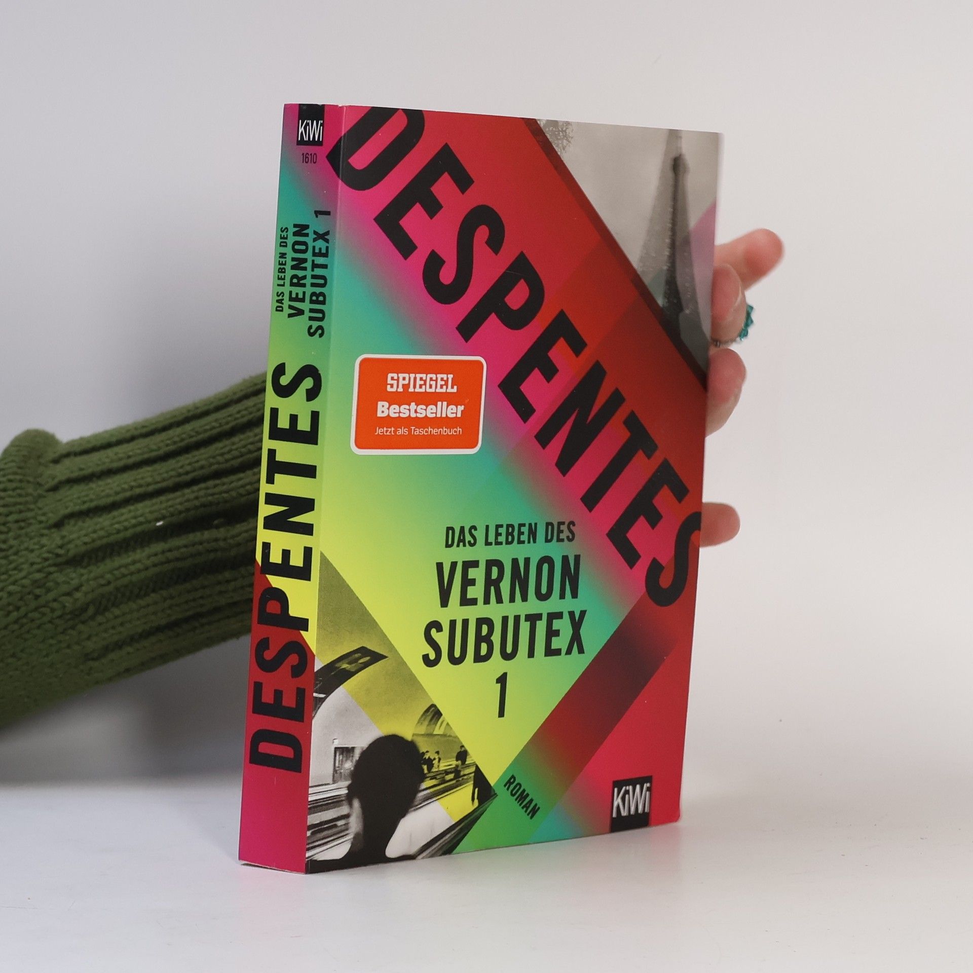 Das Leben des Vernon Subutex 1