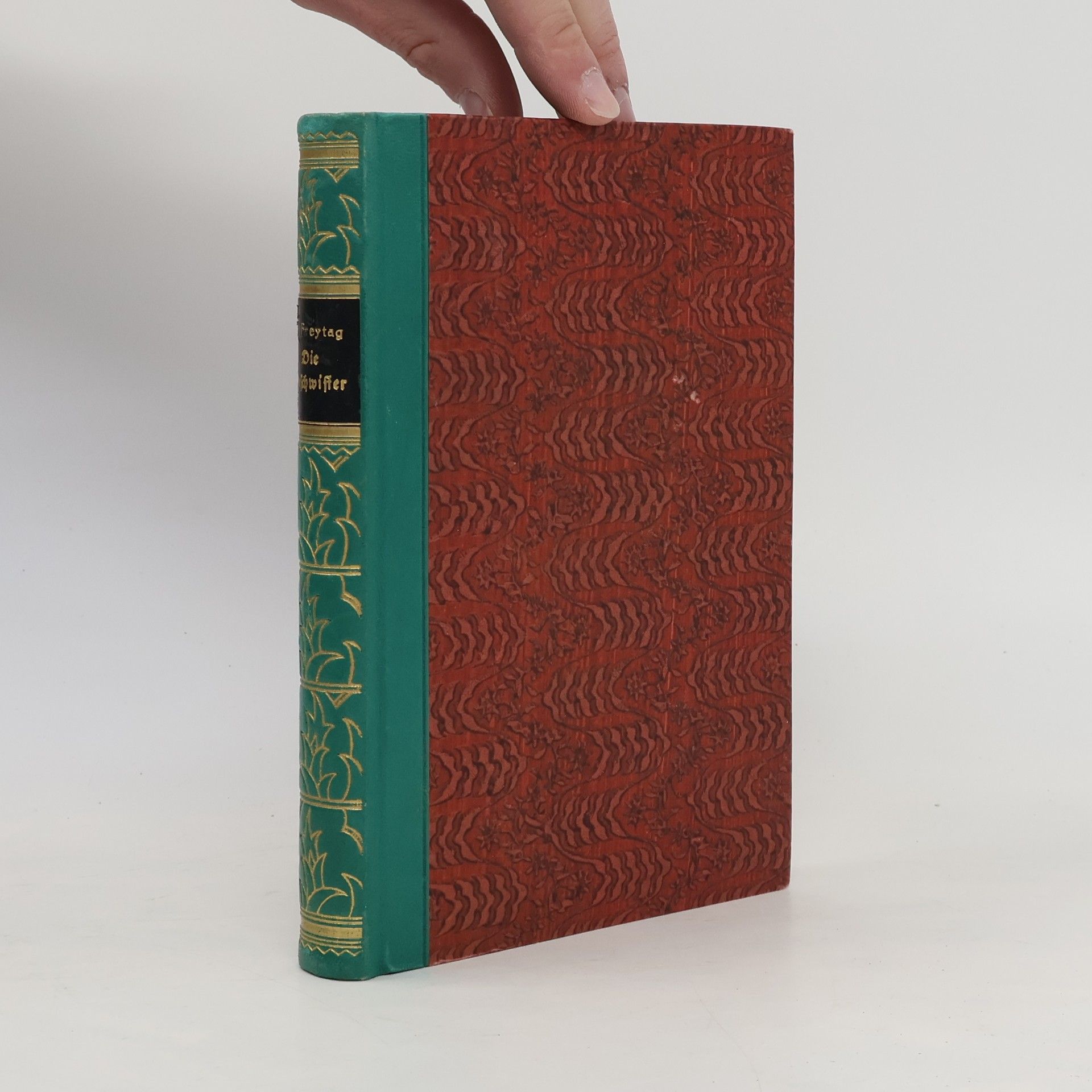 Gustav Freytag Die Geschwister