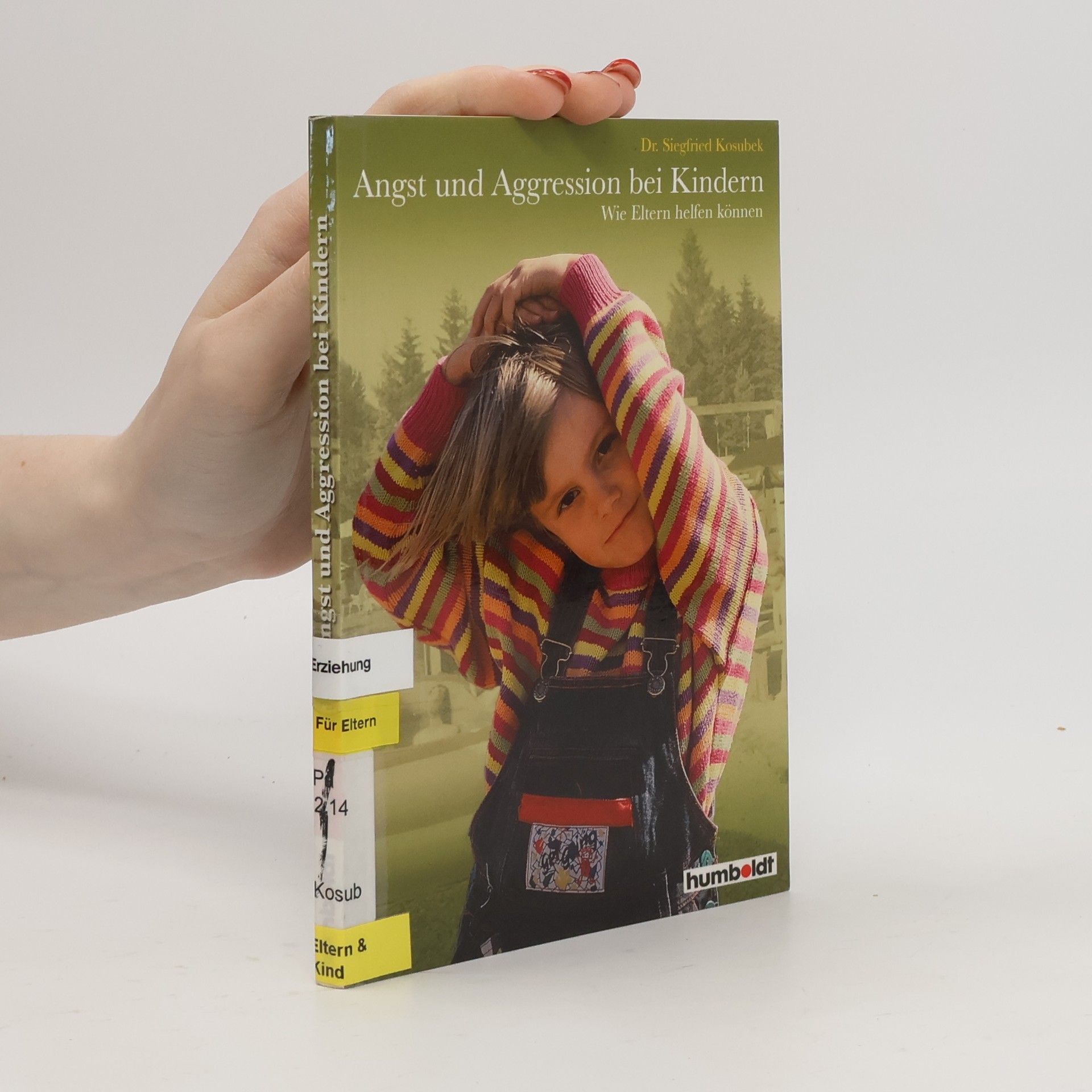 Siegfried Kosubek Angst und Aggression bei Kindern