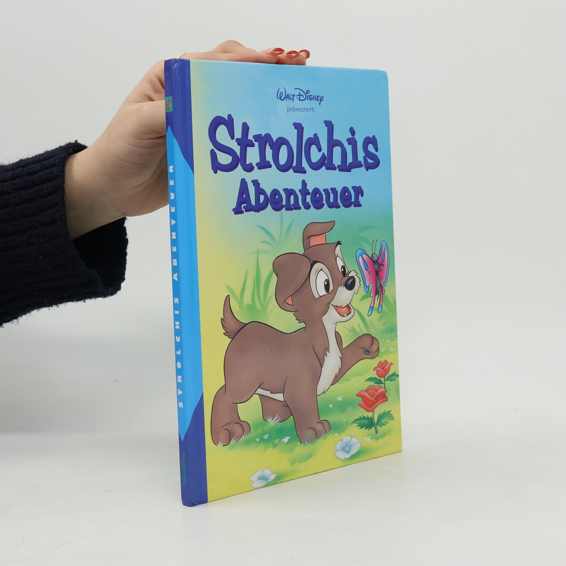 Walt Disney Strolchis Abenteuer
