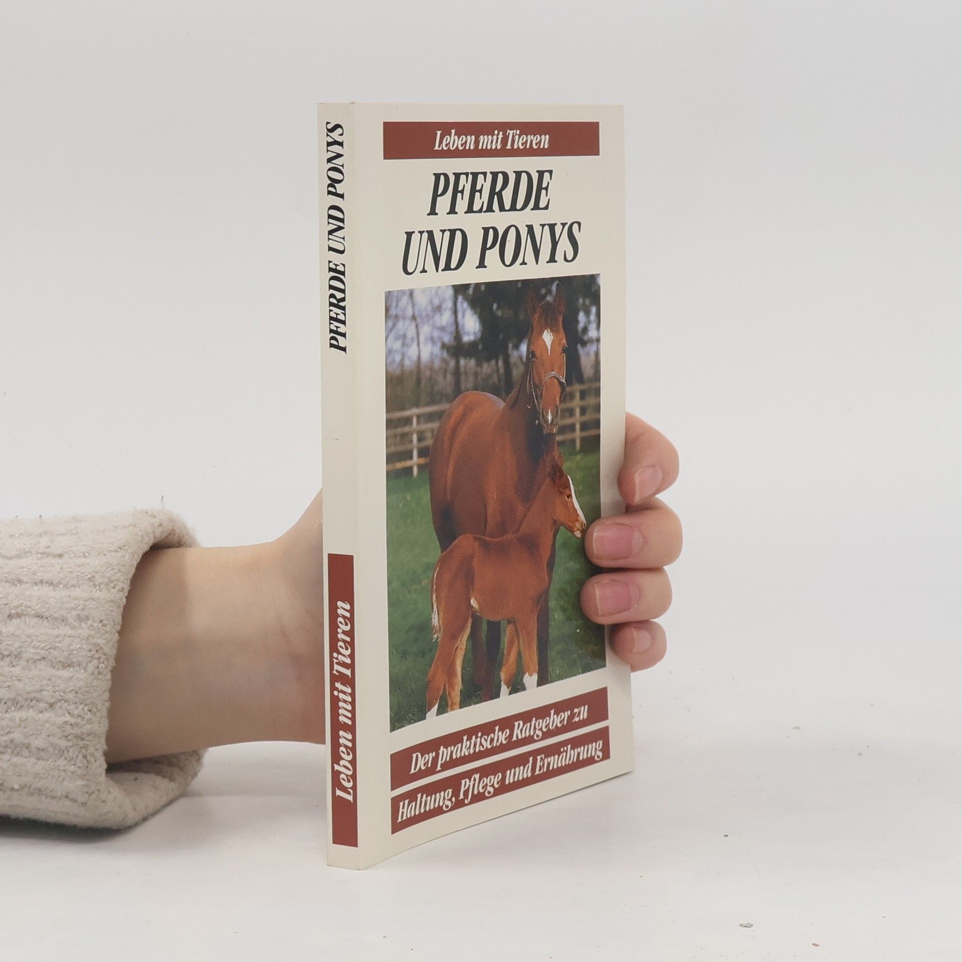 Autorenkollektiv Pferde und Ponys