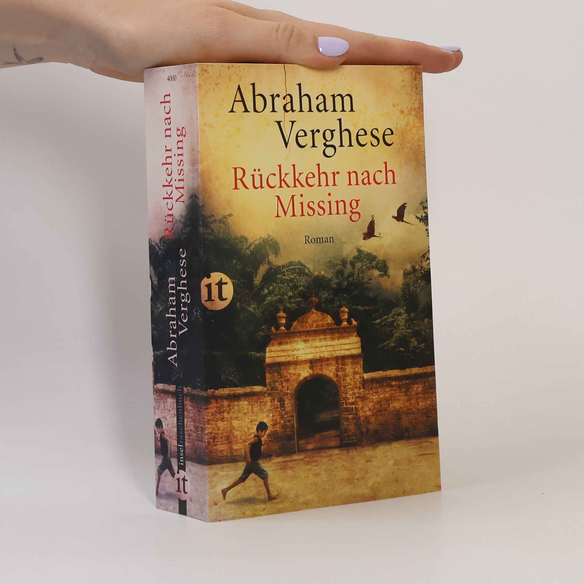 Abraham Verghese Rückkehr nach Missing
