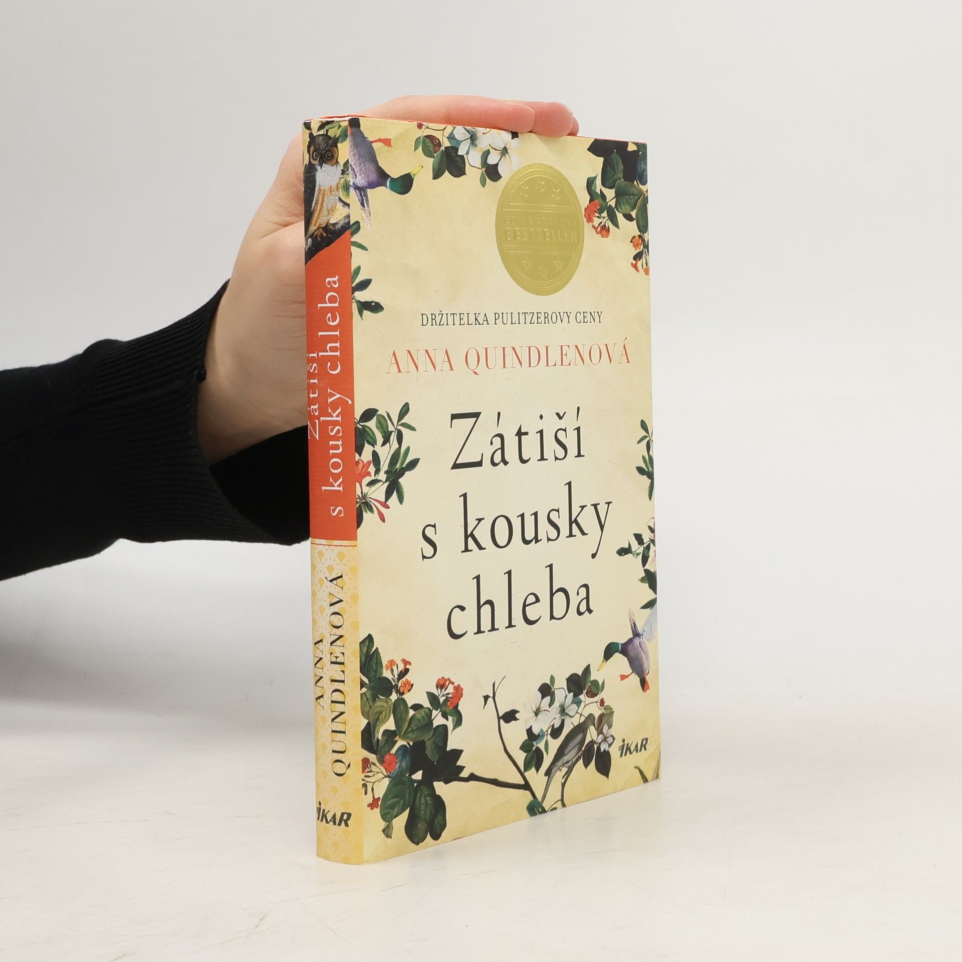 Anna Quindlen Zátiší s kousky chleba