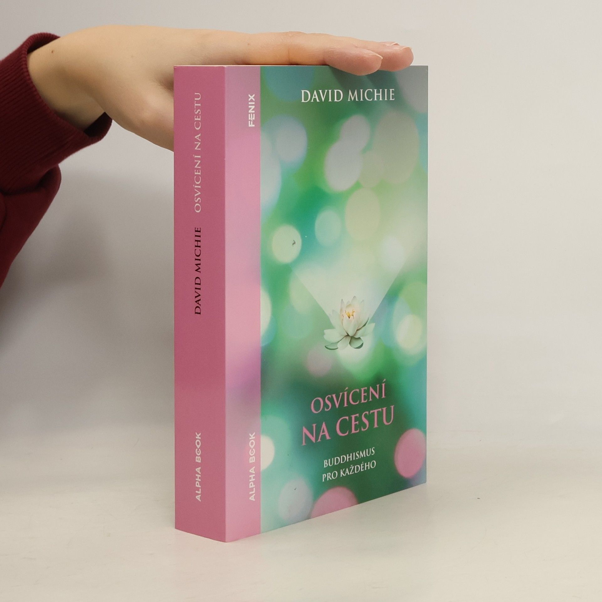 David Michie Osvícení na cestu : buddhismus pro každého