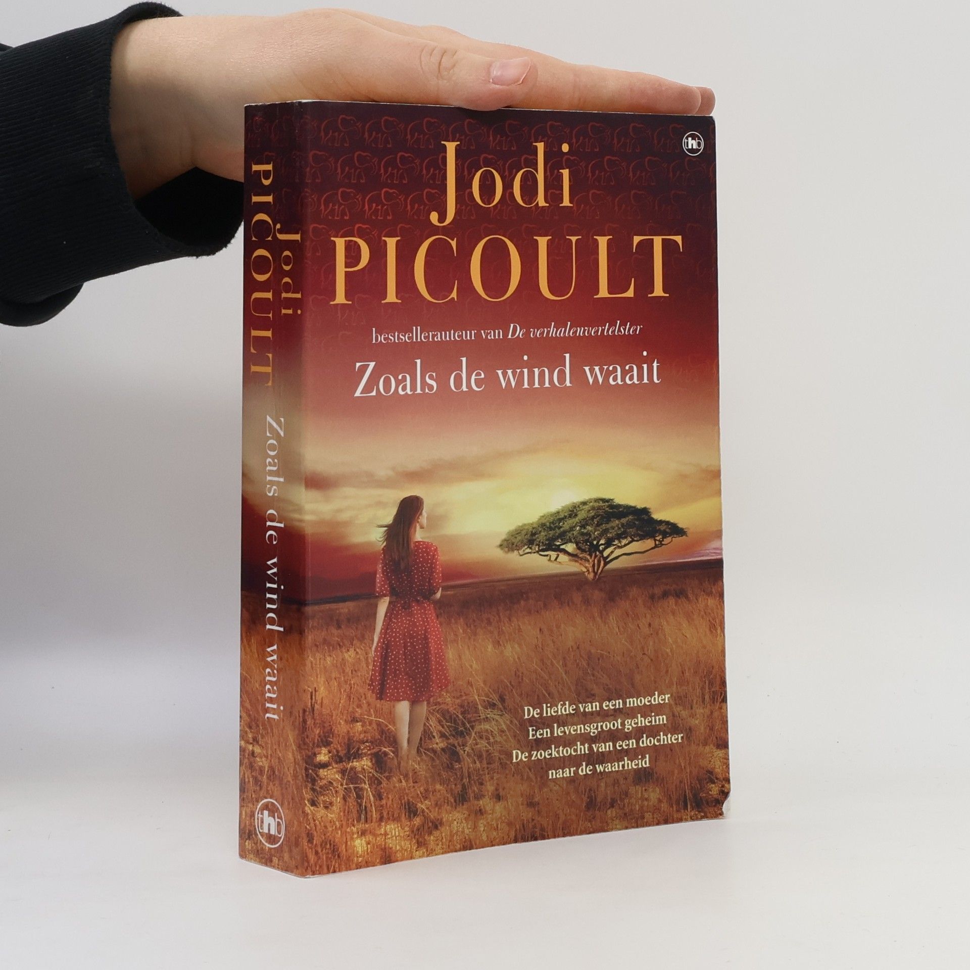 Jodi Picoult Zoals de wind waait