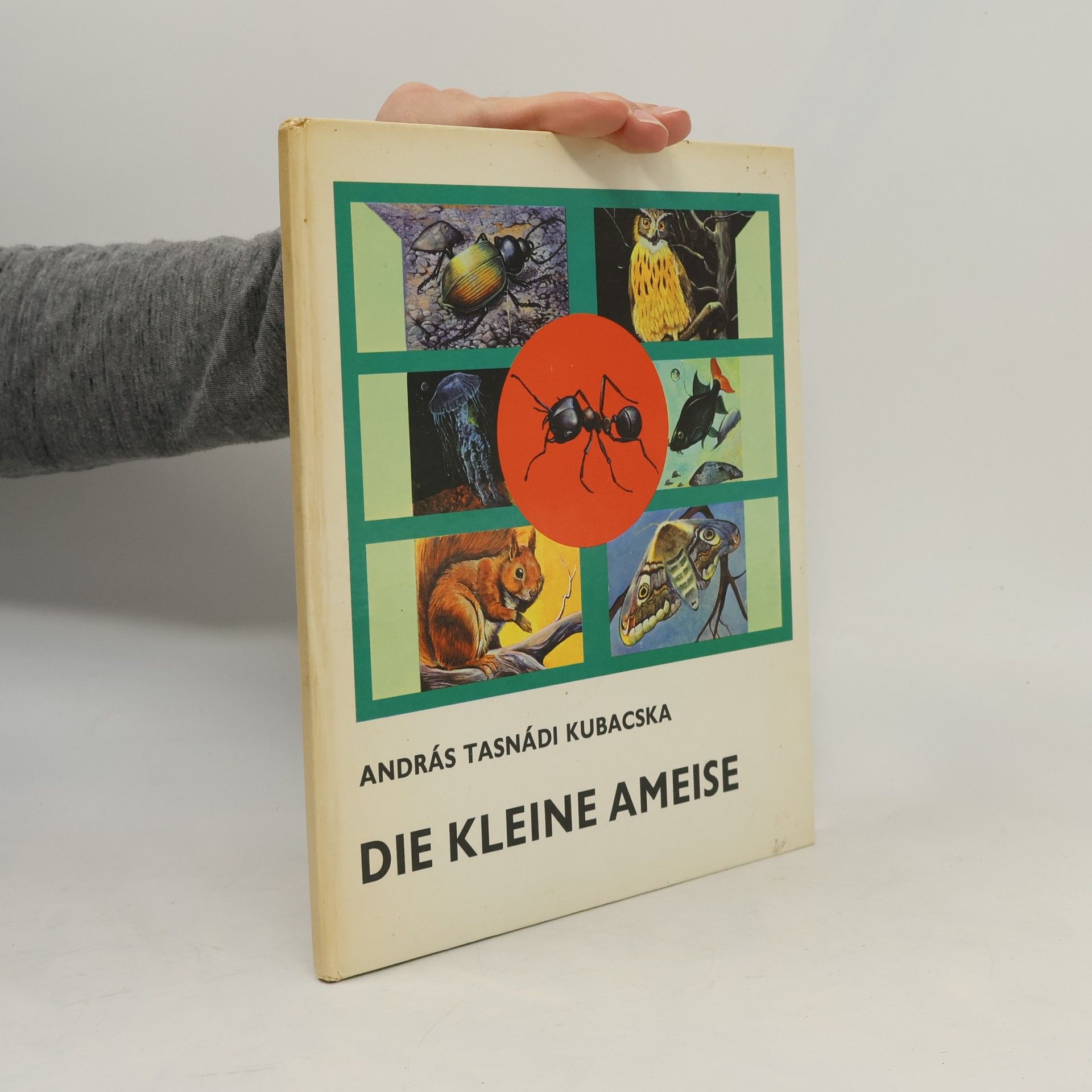 András Tasnádi Kubacska Die kleine ameise