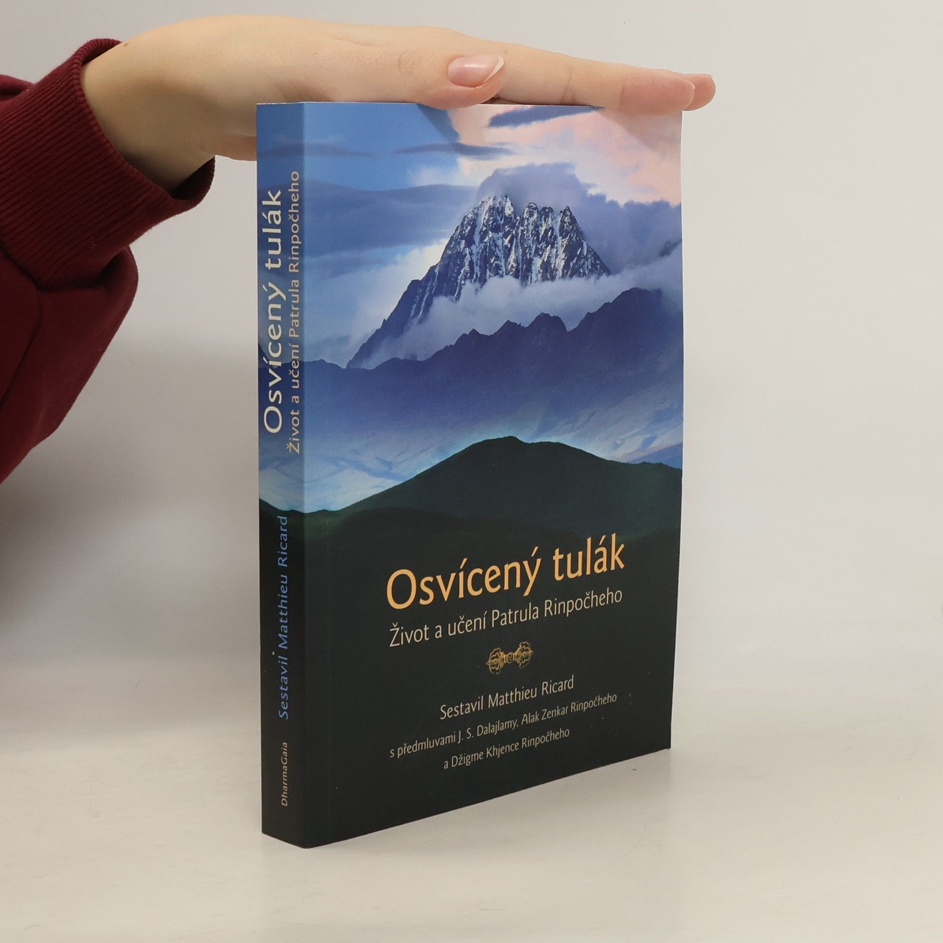 Matthieu Ricard Osvícený tulák: Život a učení Patrula Rinpočheho