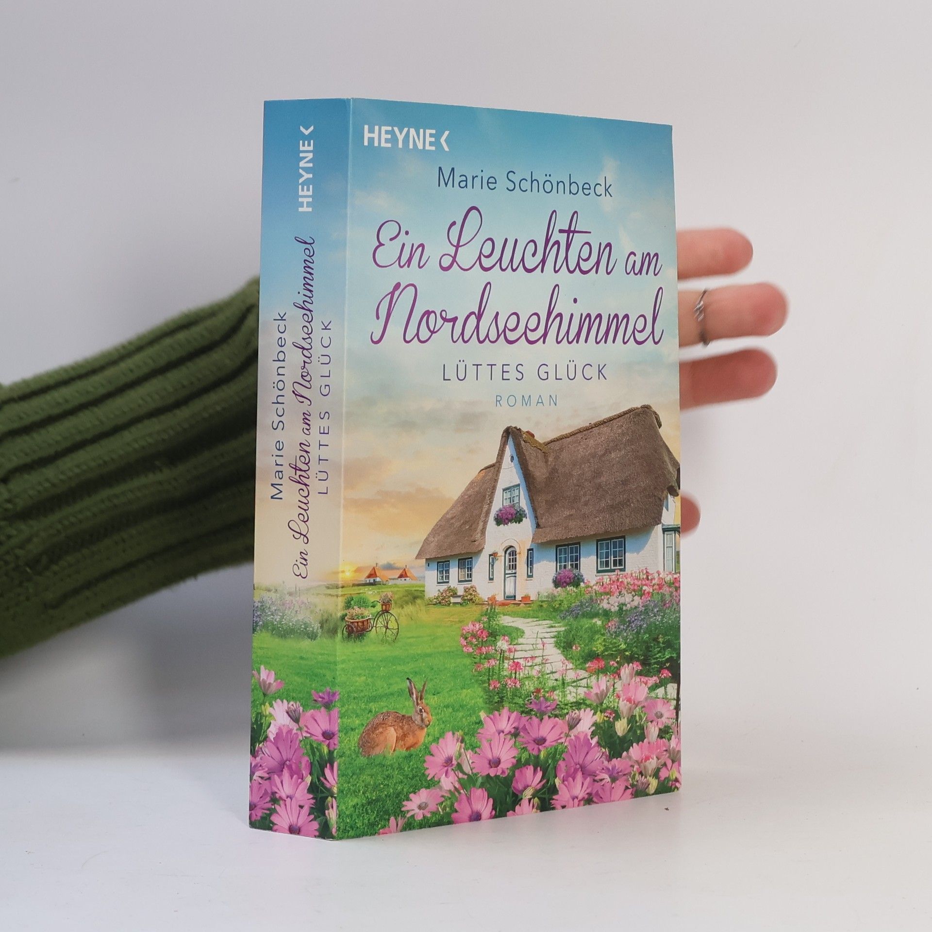 Marie Schönbeck Lüttes Glück - Ein Leuchten am Nordseehimmel