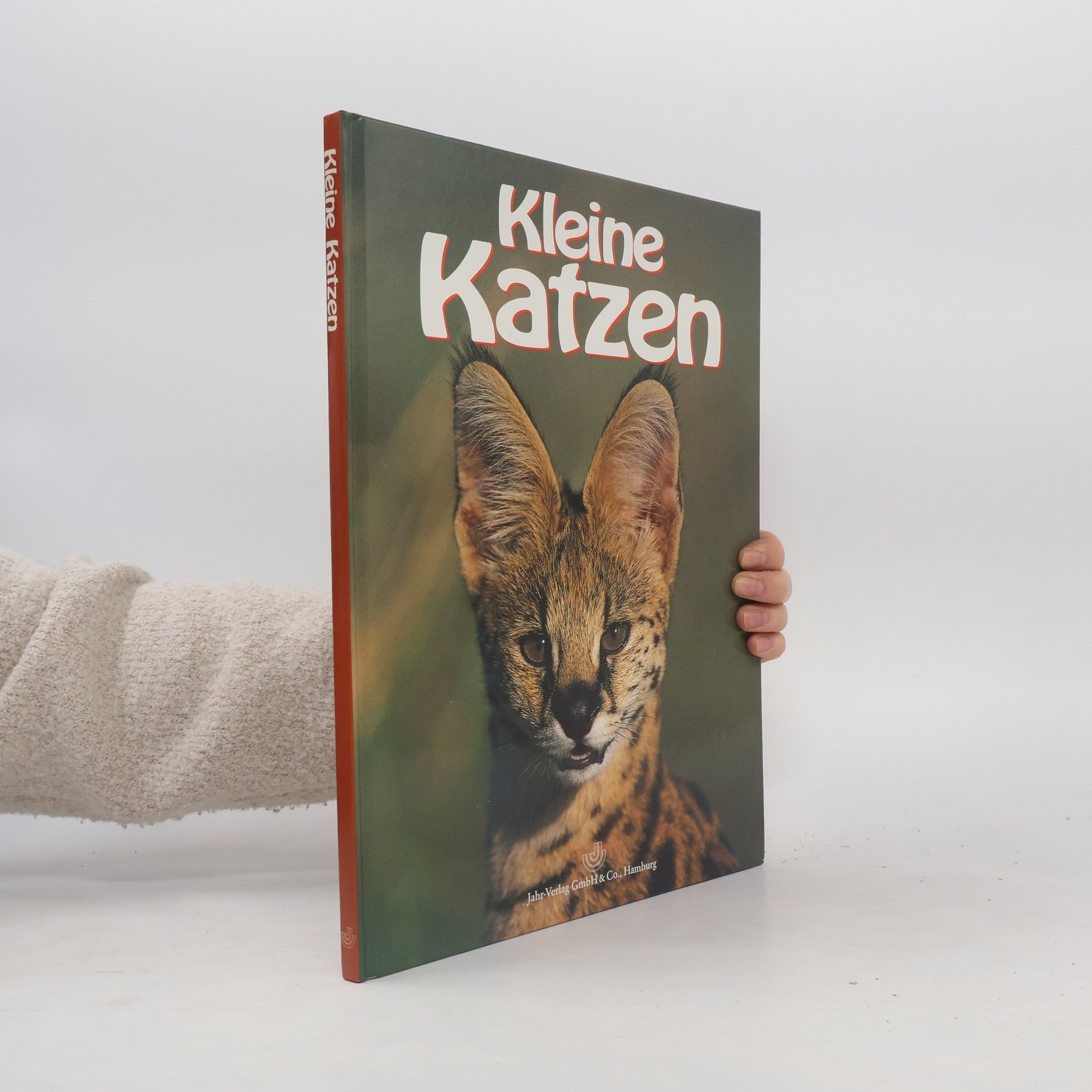 Susan Lumpkin Kleine Katzen
